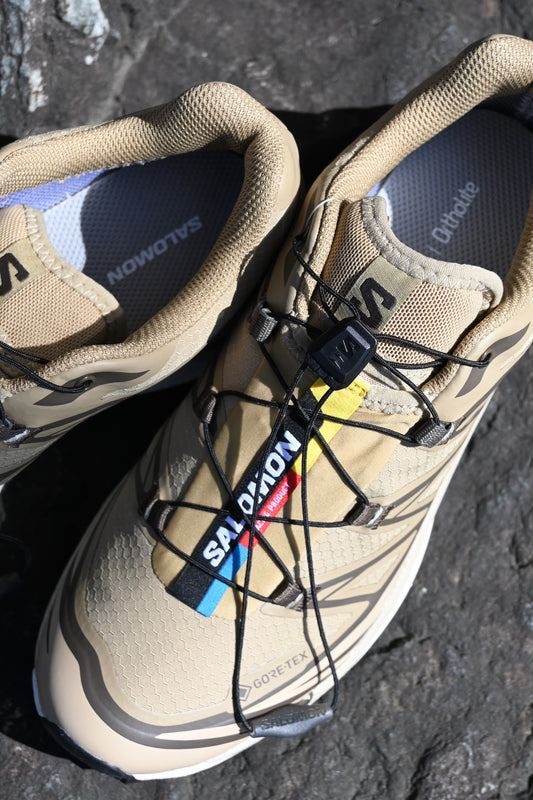 SALOMON 入荷