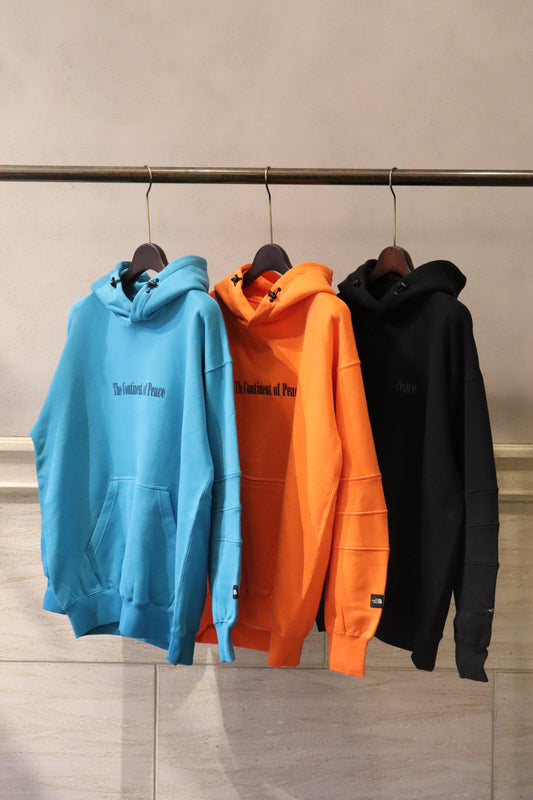 THE NORTH FACE 新作入荷