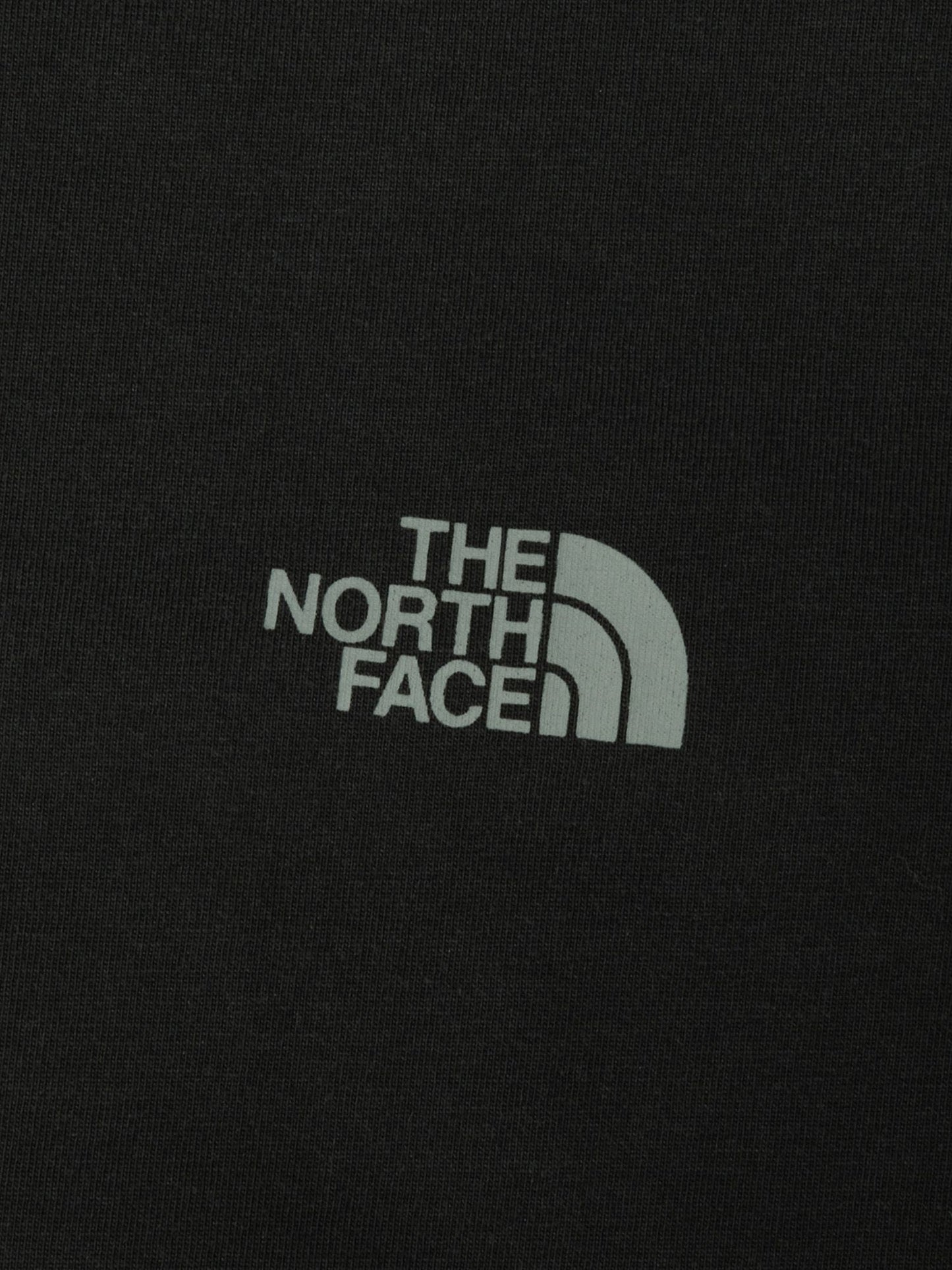 S/S Dogsled Graphic Tee