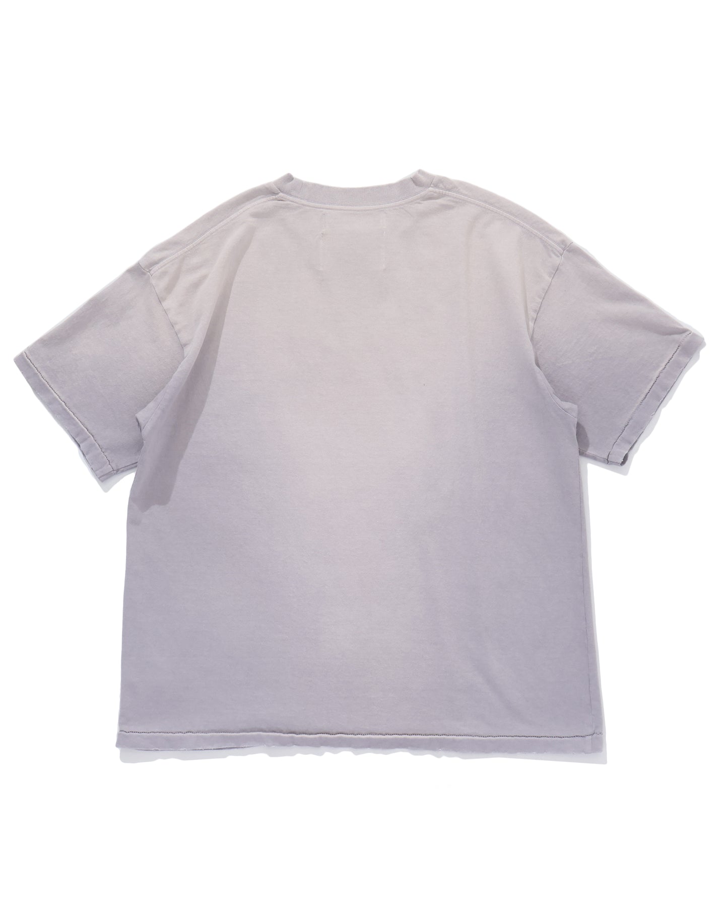 "Alien" Vintage Wash H-S Tee