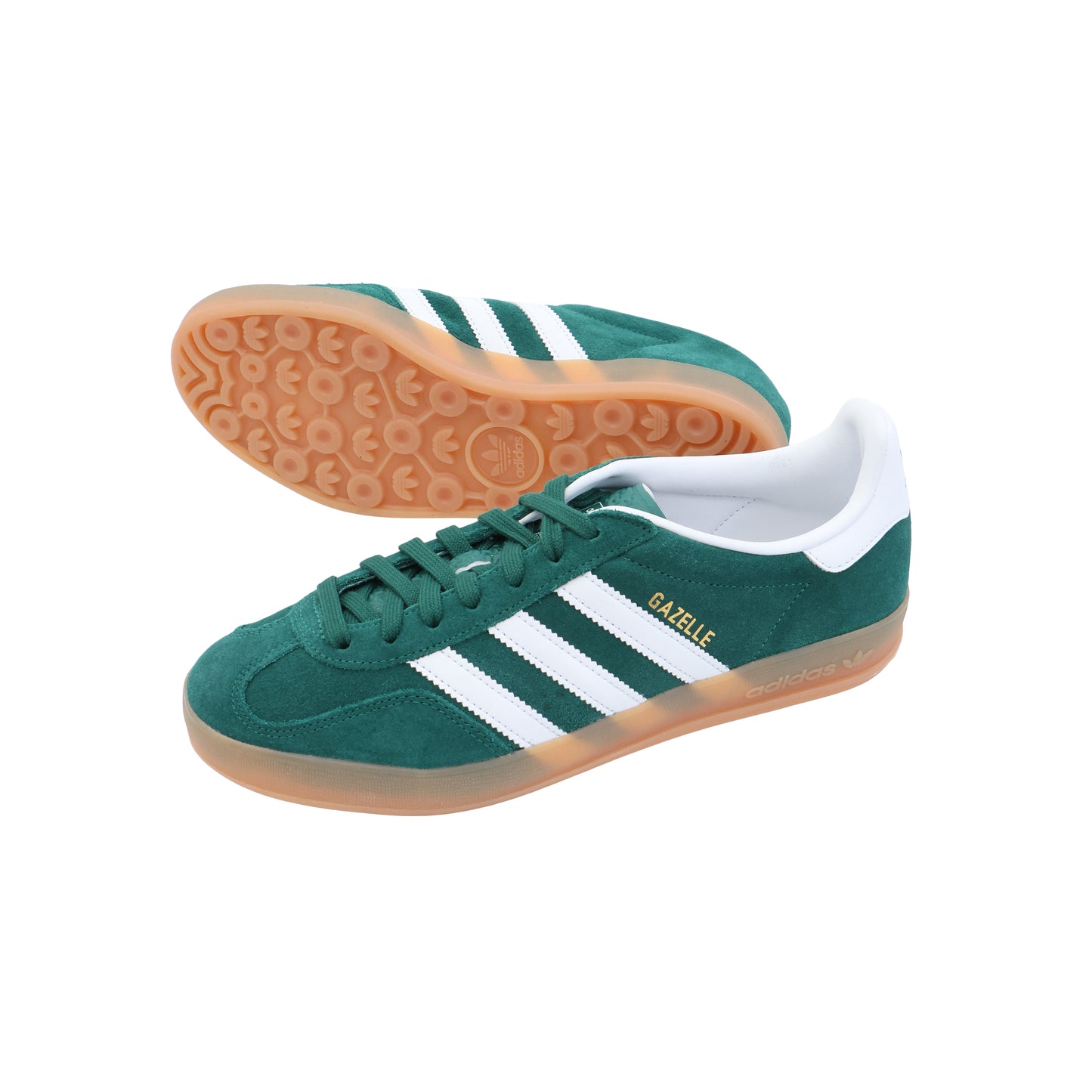 GAZELLE INDOOR