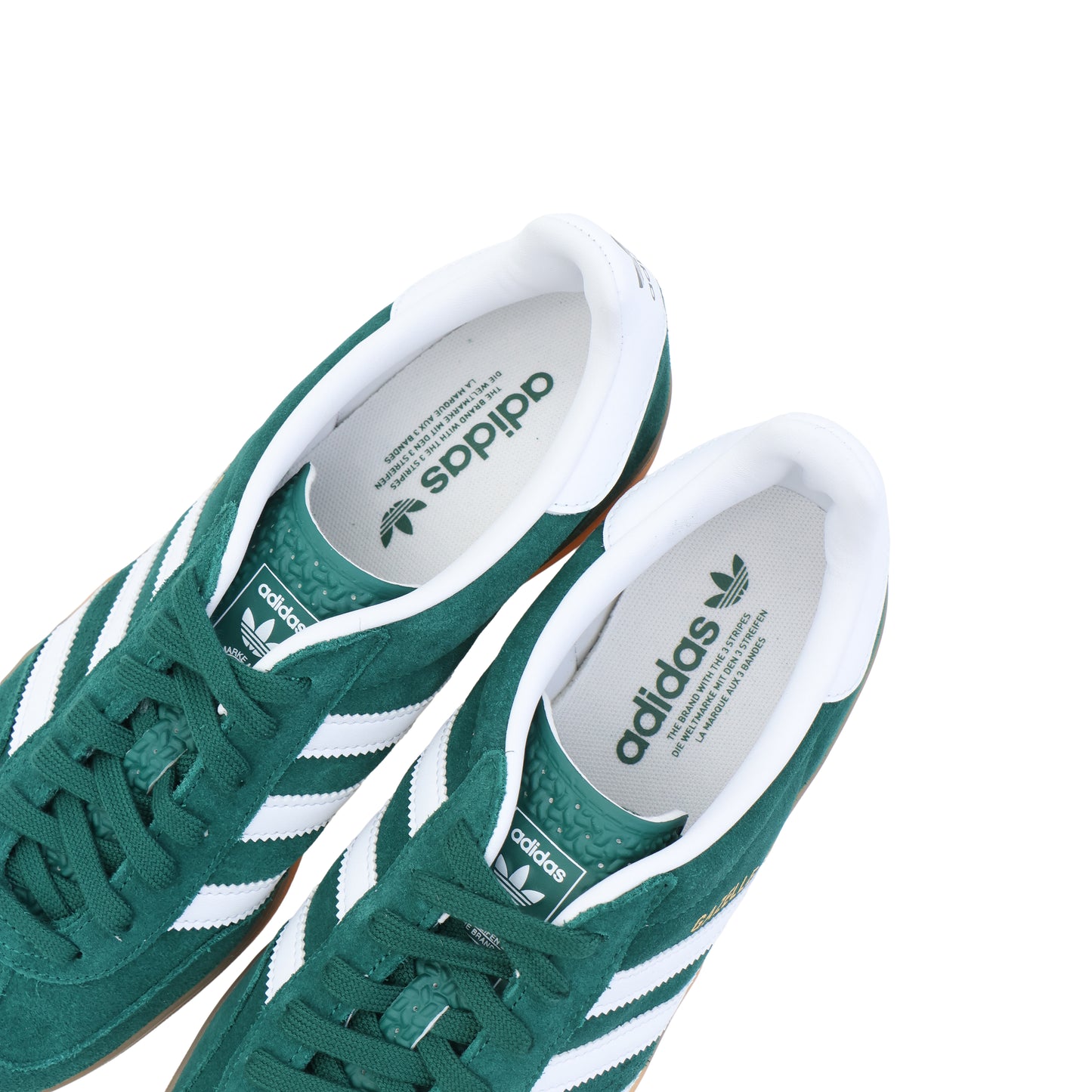 GAZELLE INDOOR