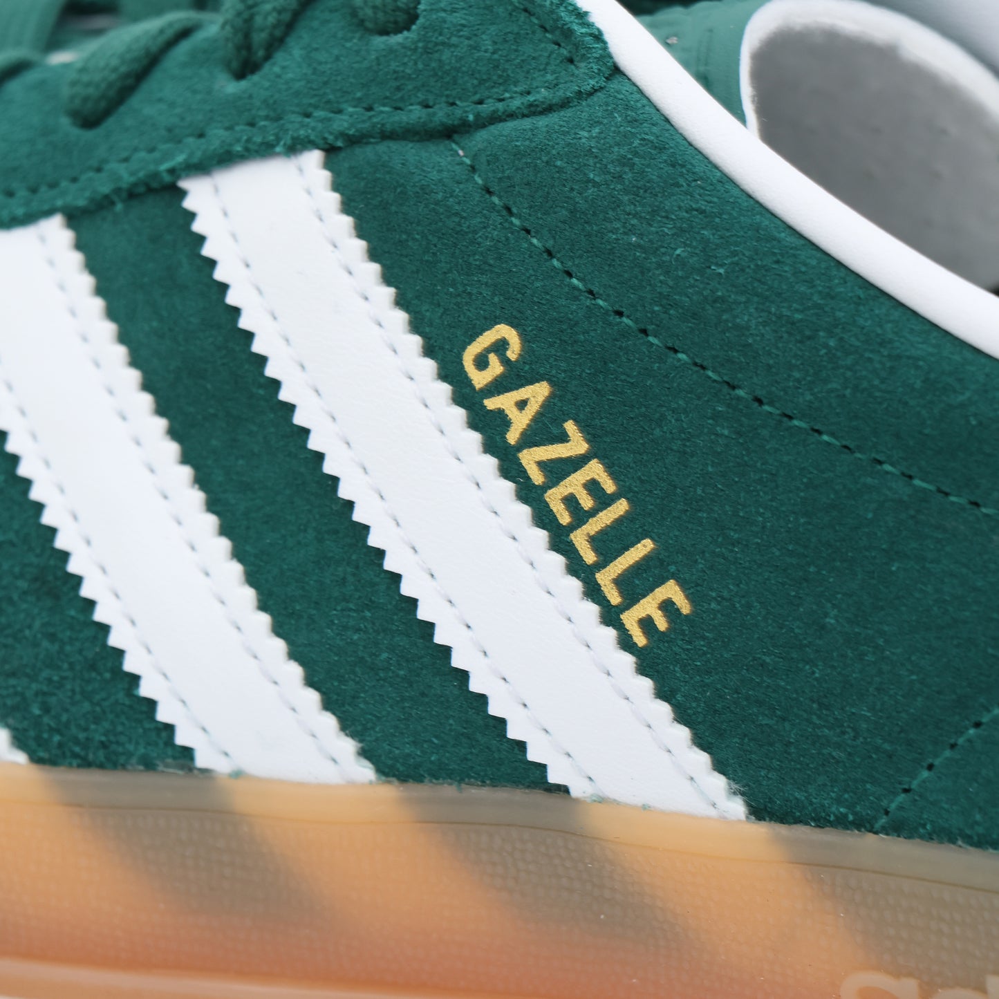 GAZELLE INDOOR