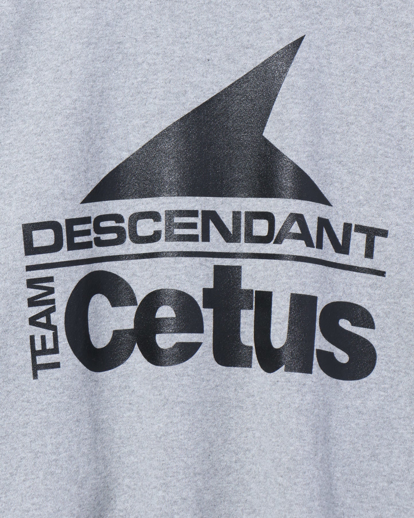 STERN CREW NECK GRAY