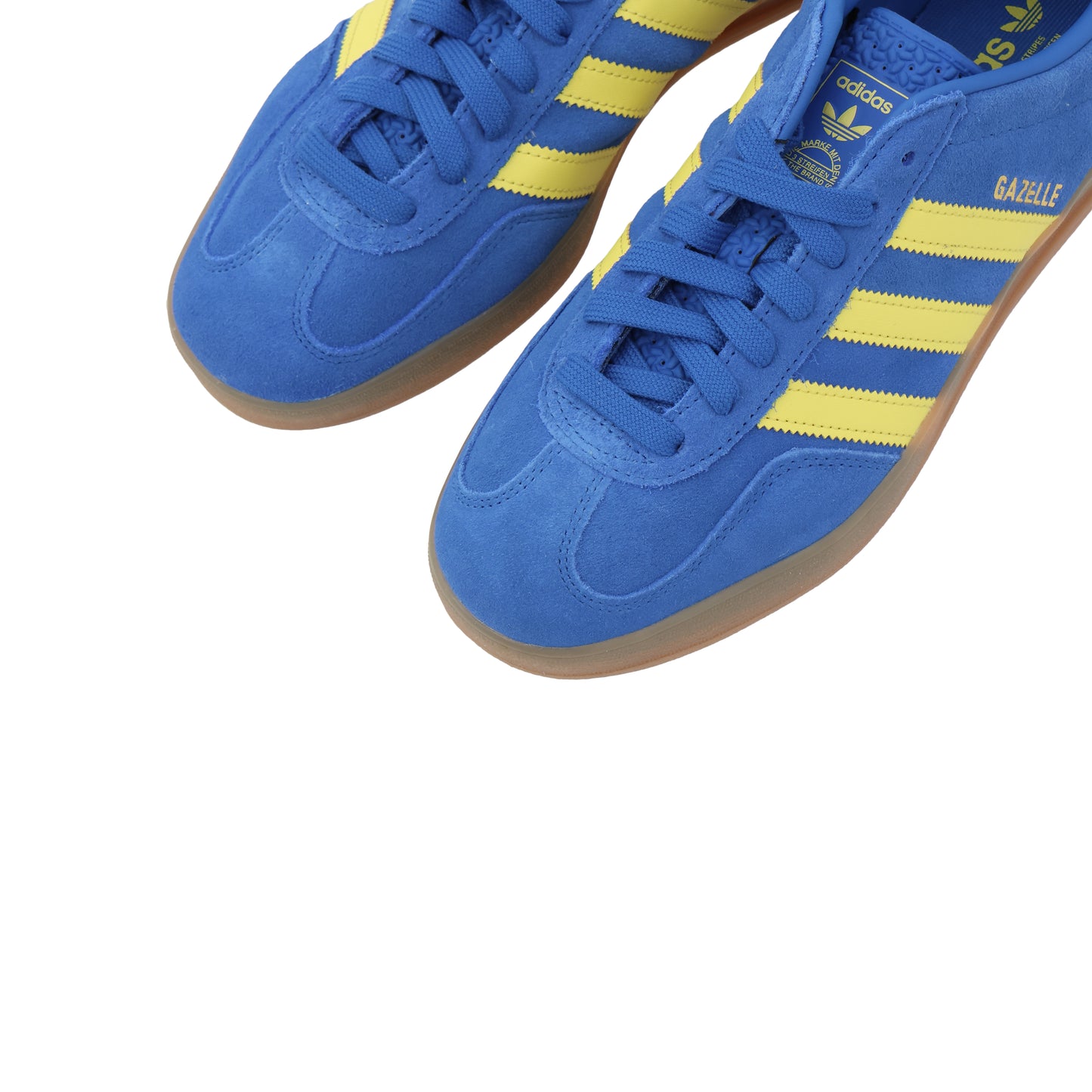 GAZELLE INDOOR
