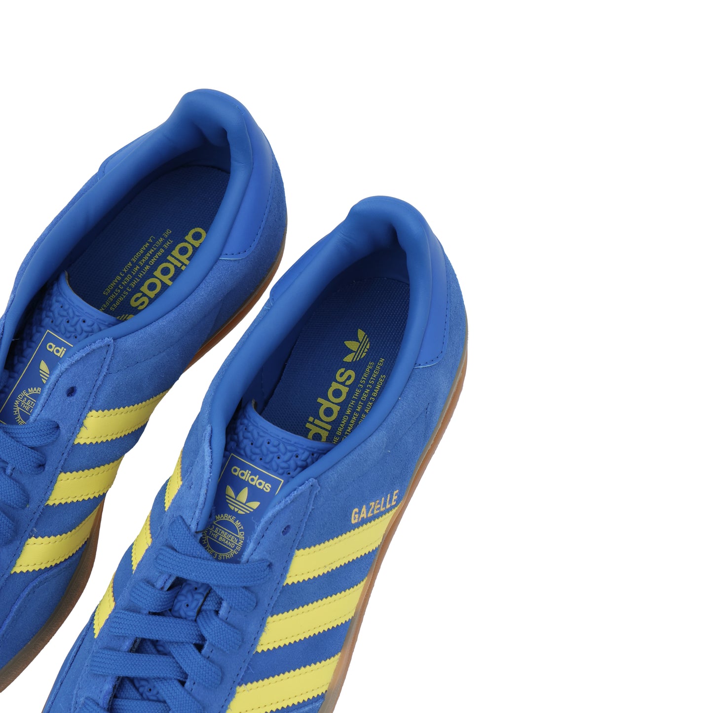 GAZELLE INDOOR