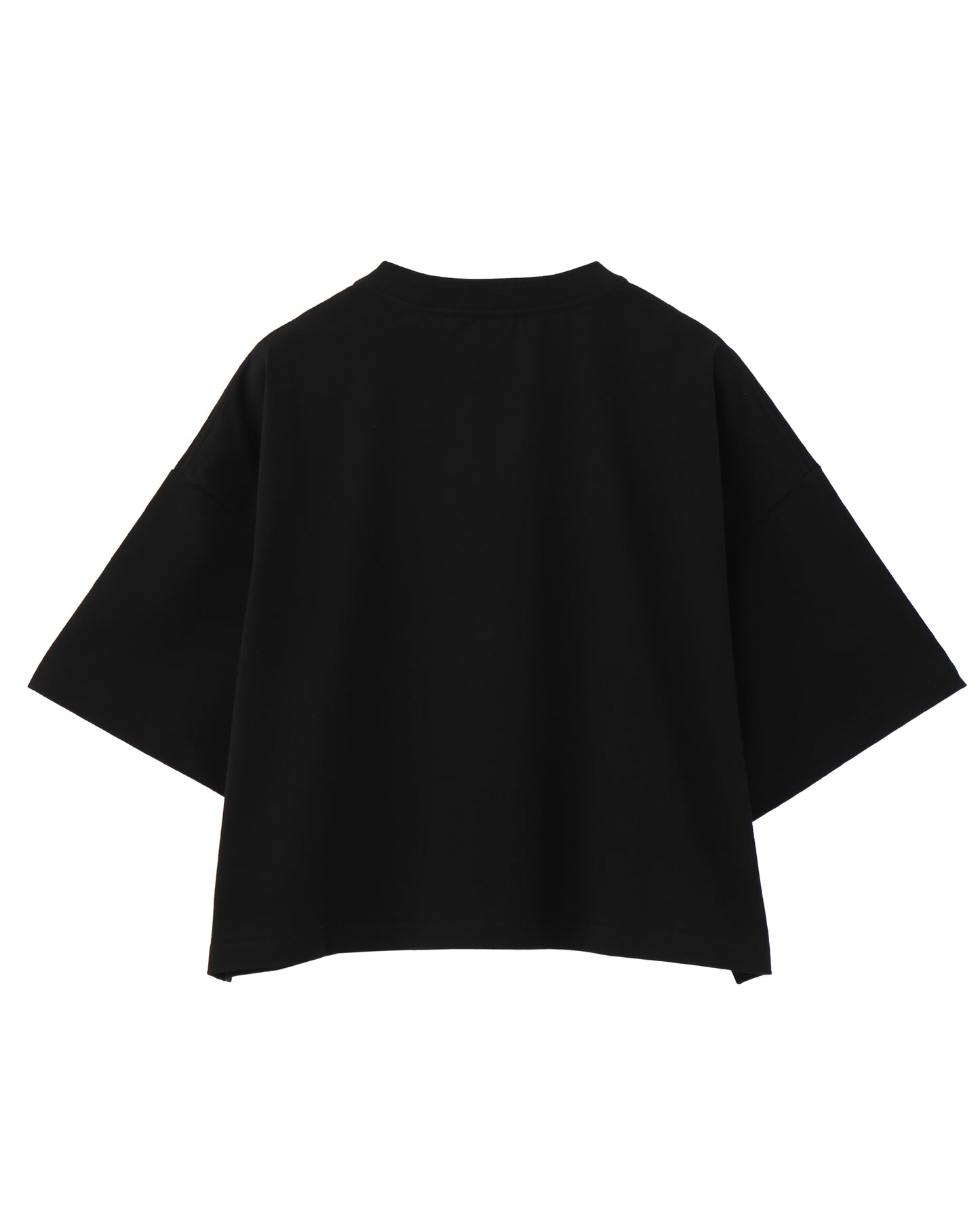 CROPPED SHORT-SLV TEE(6.5OZ) 12378