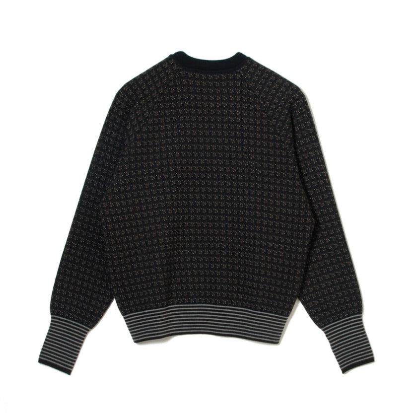 JACQUARD KNIT PULLOVER
