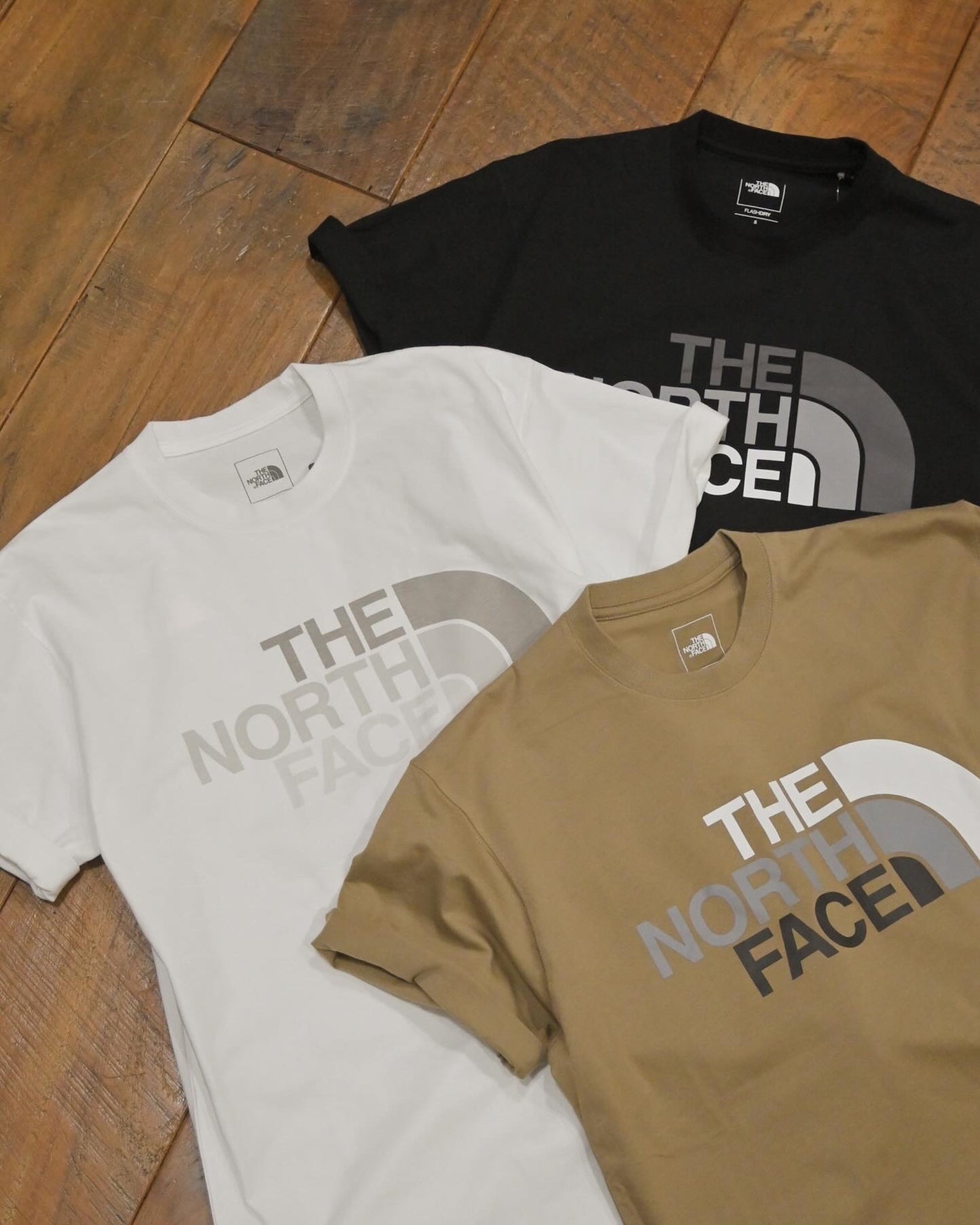 S/S FD Colorful Logo Cotton Tee