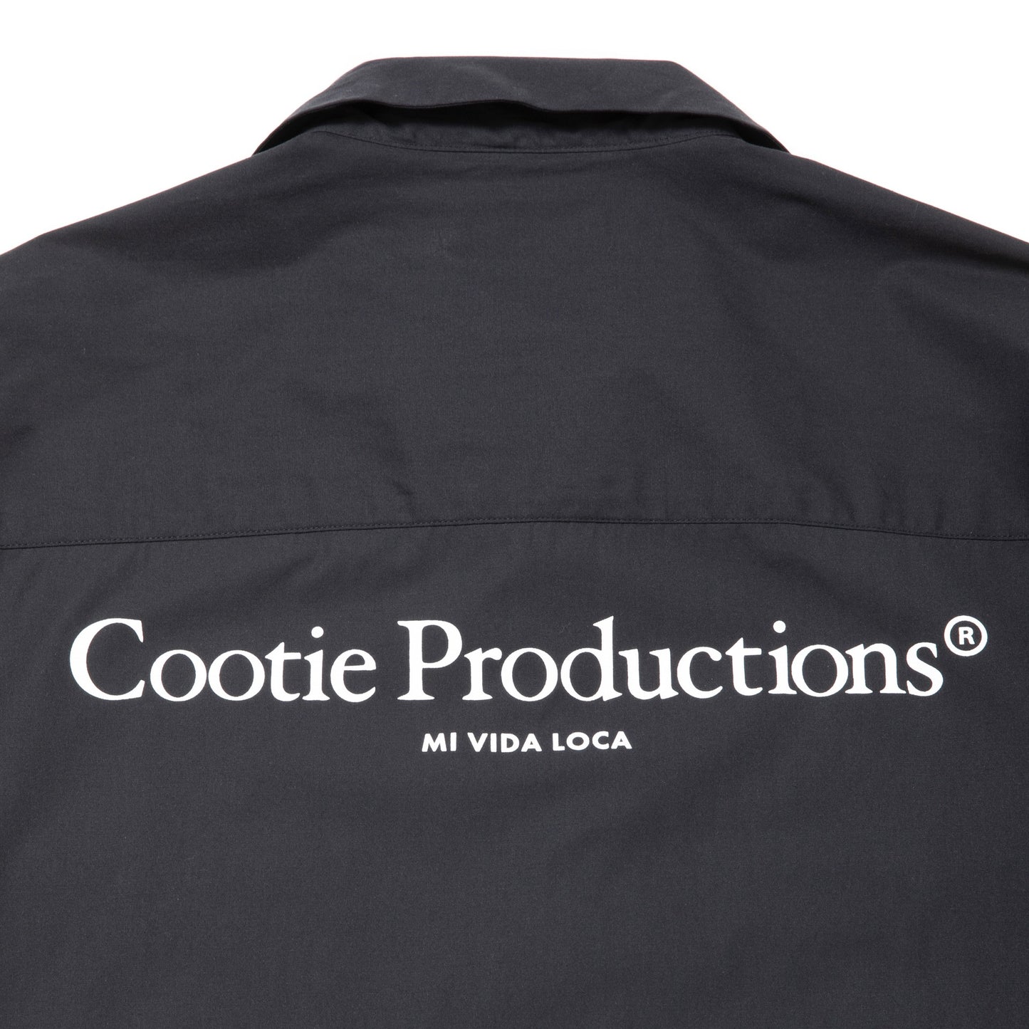 Broad L/S Work Shirt