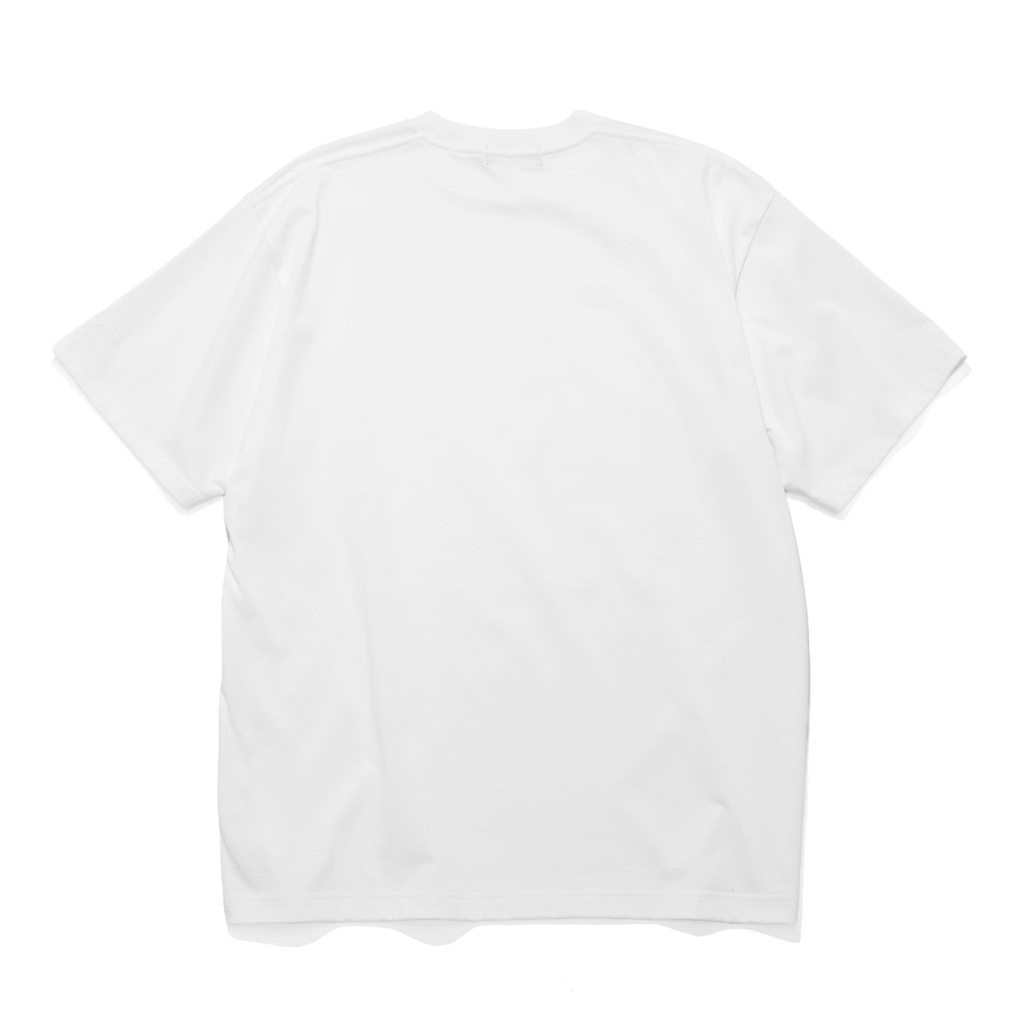 BOX LOGO TWIN PHOTO TEE