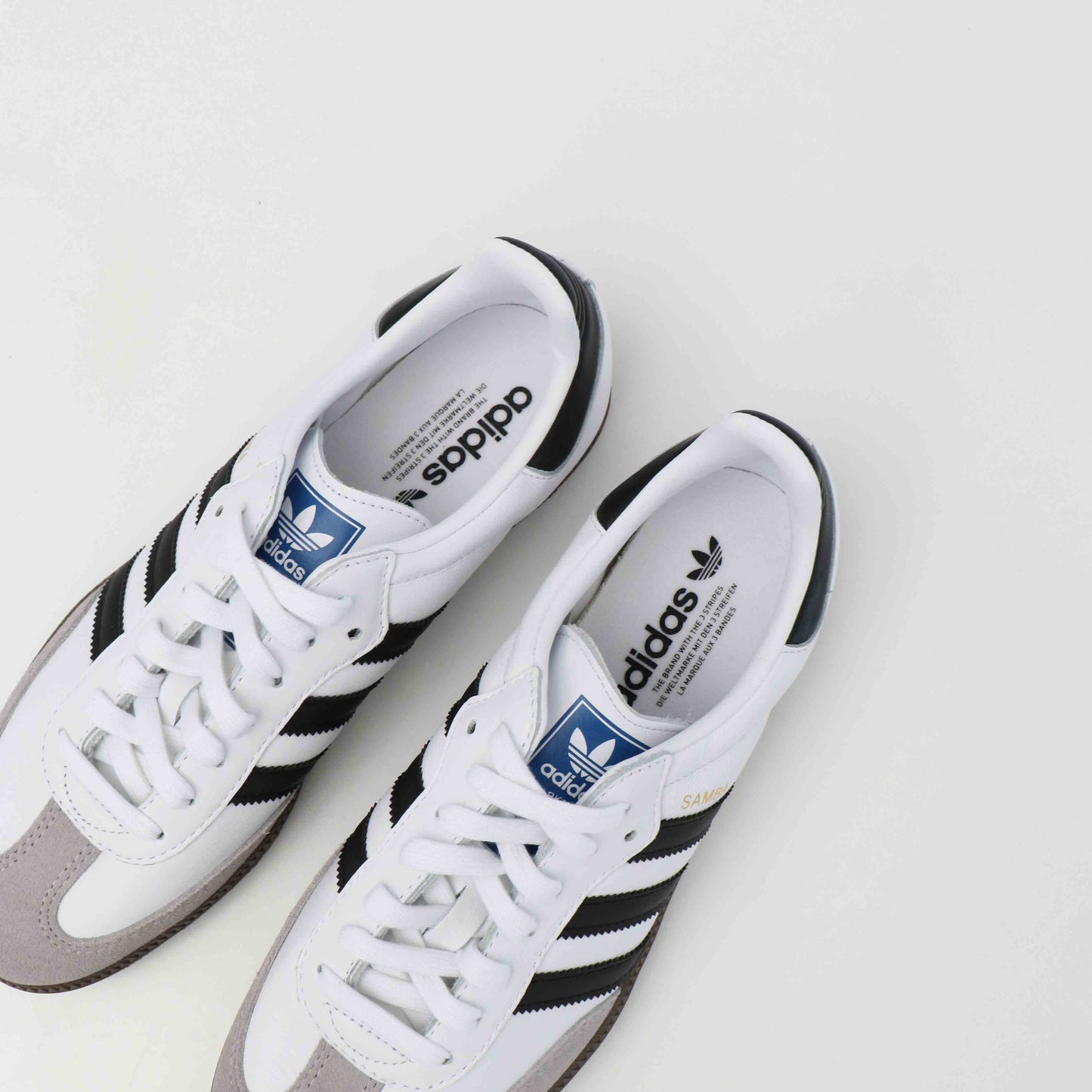 SAMBA OG