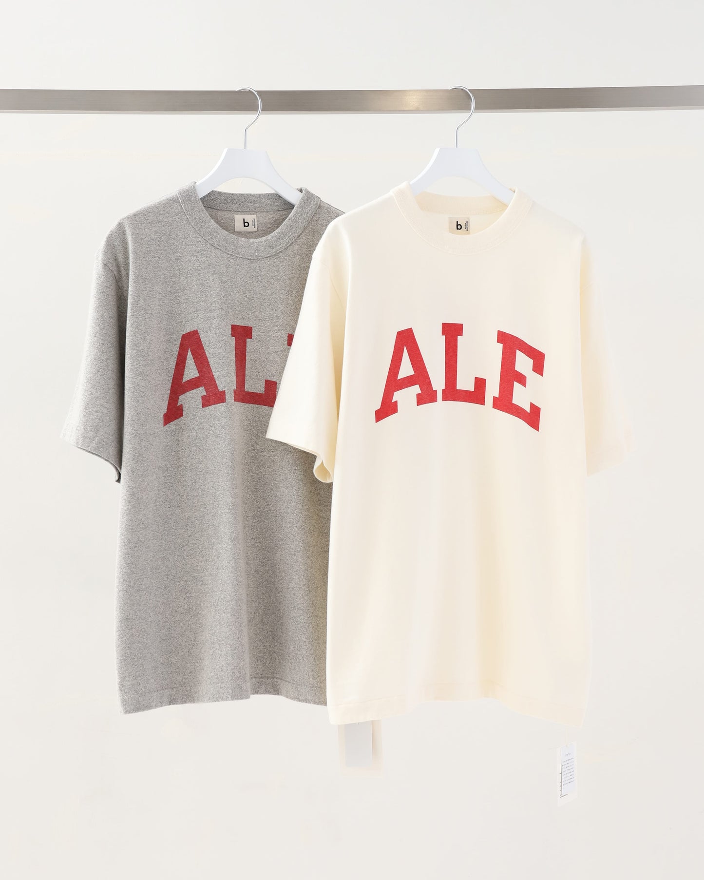 ALE-Y 88/12 Print Tee STANDARD
