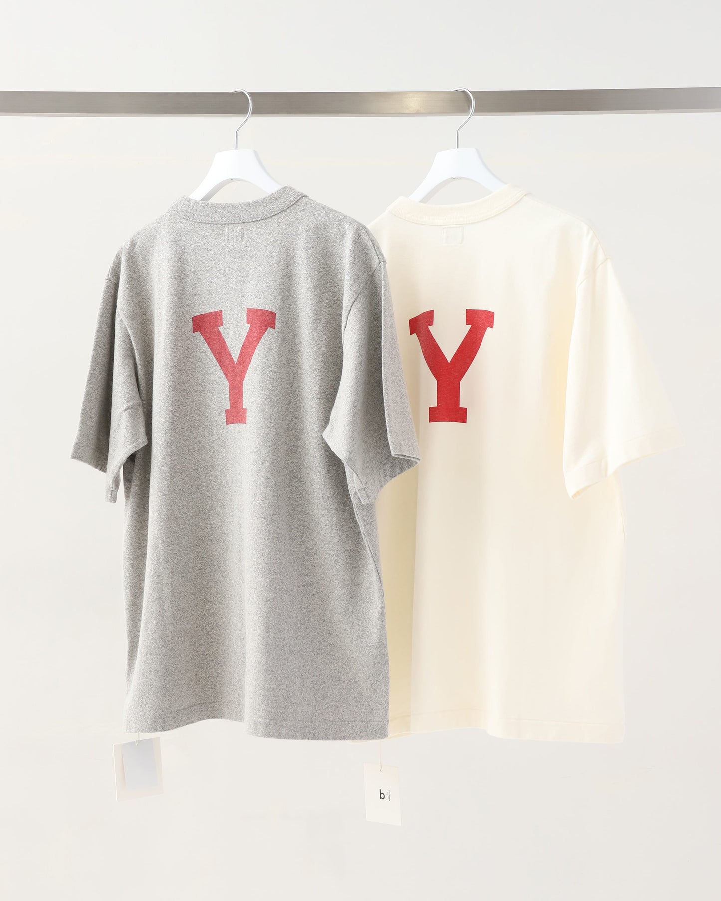 ALE-Y 88/12 Print Tee STANDARD