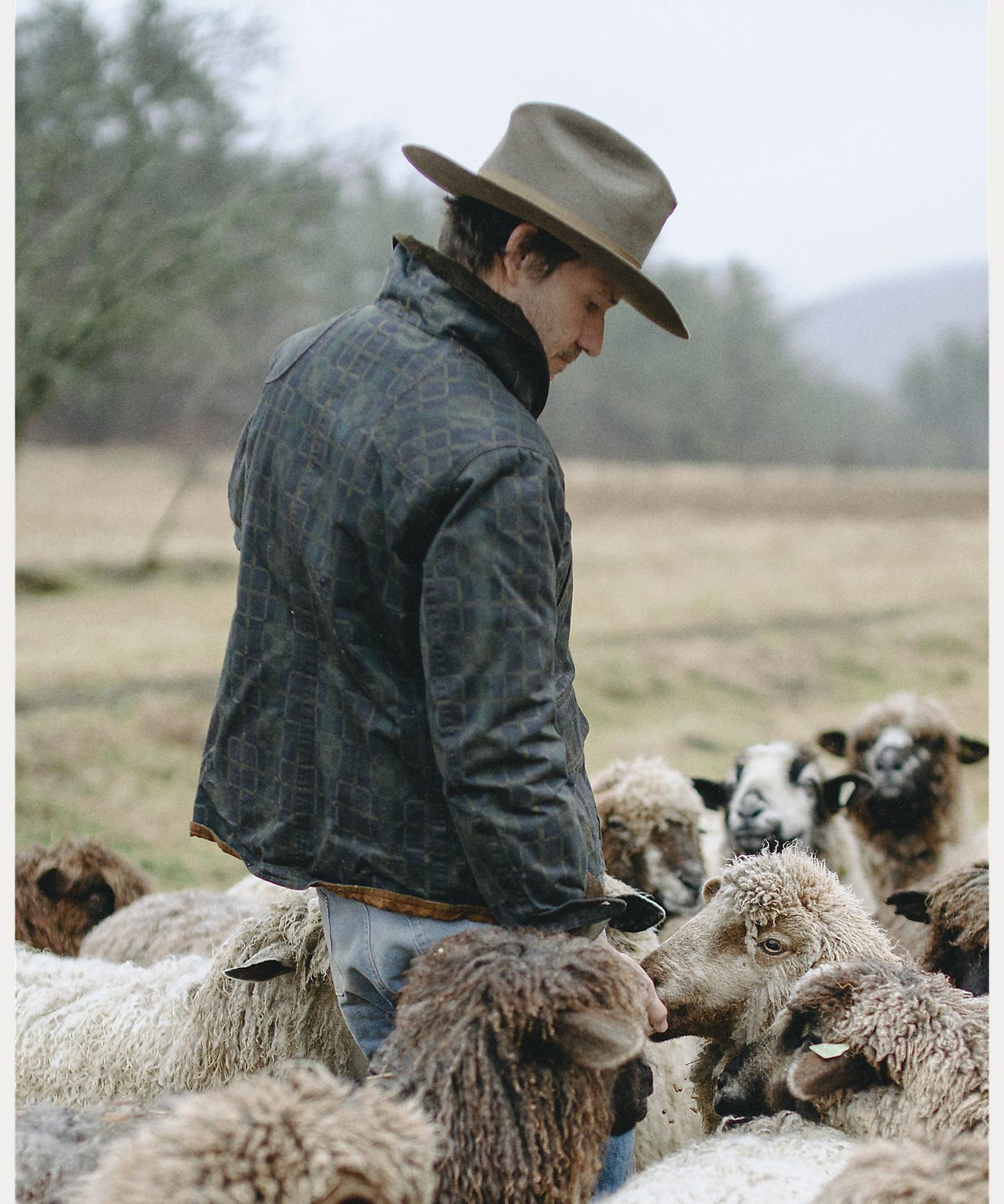 GALWAY COAT-COAT CTN PRT OILCLOTH