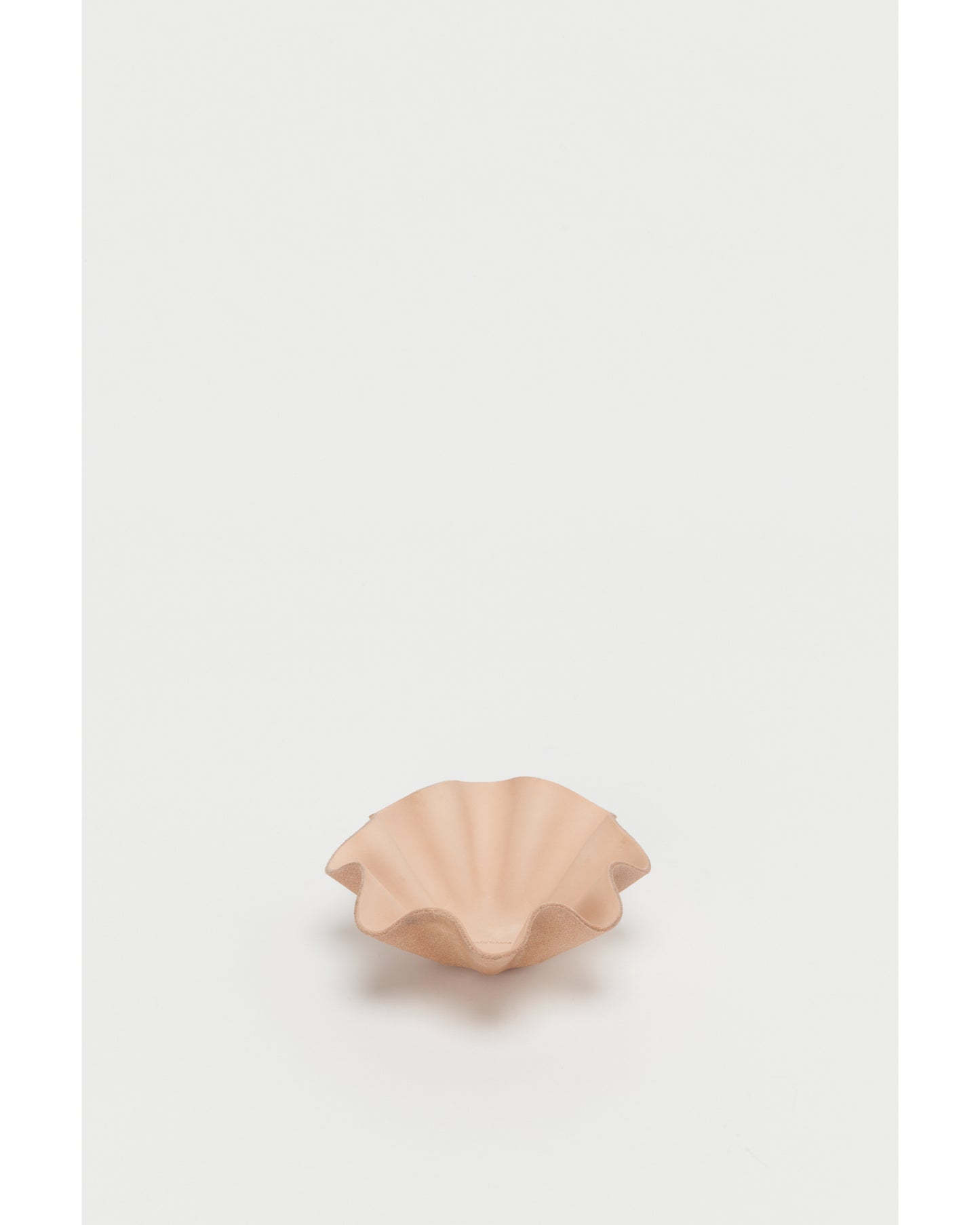 shell bowl small natural