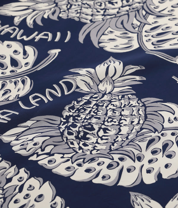 "THE PINEAPPLE ISLANDS" SS39015