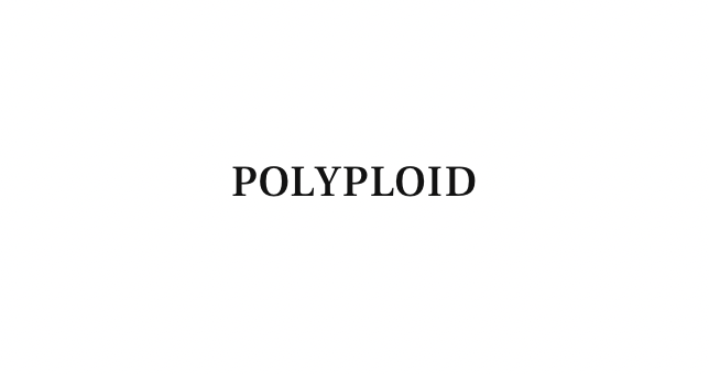 【ANYTIME】POLYPLOID 新作コート入荷！