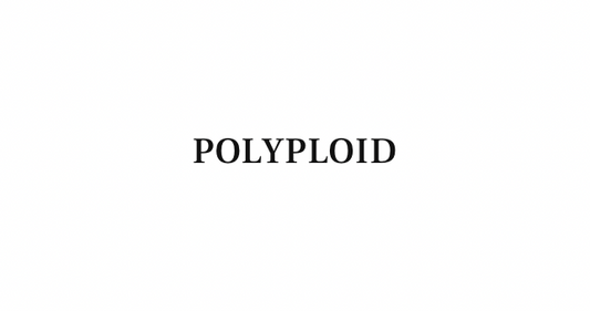 【ANYTIME】POLYPLOID 新作コート入荷！