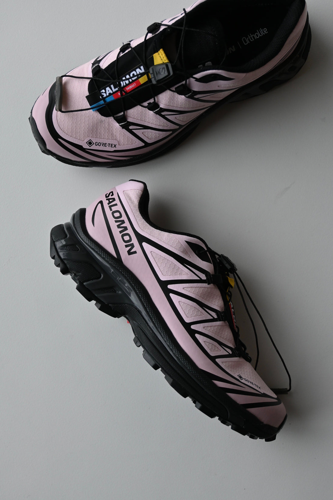 SALOMON 入荷