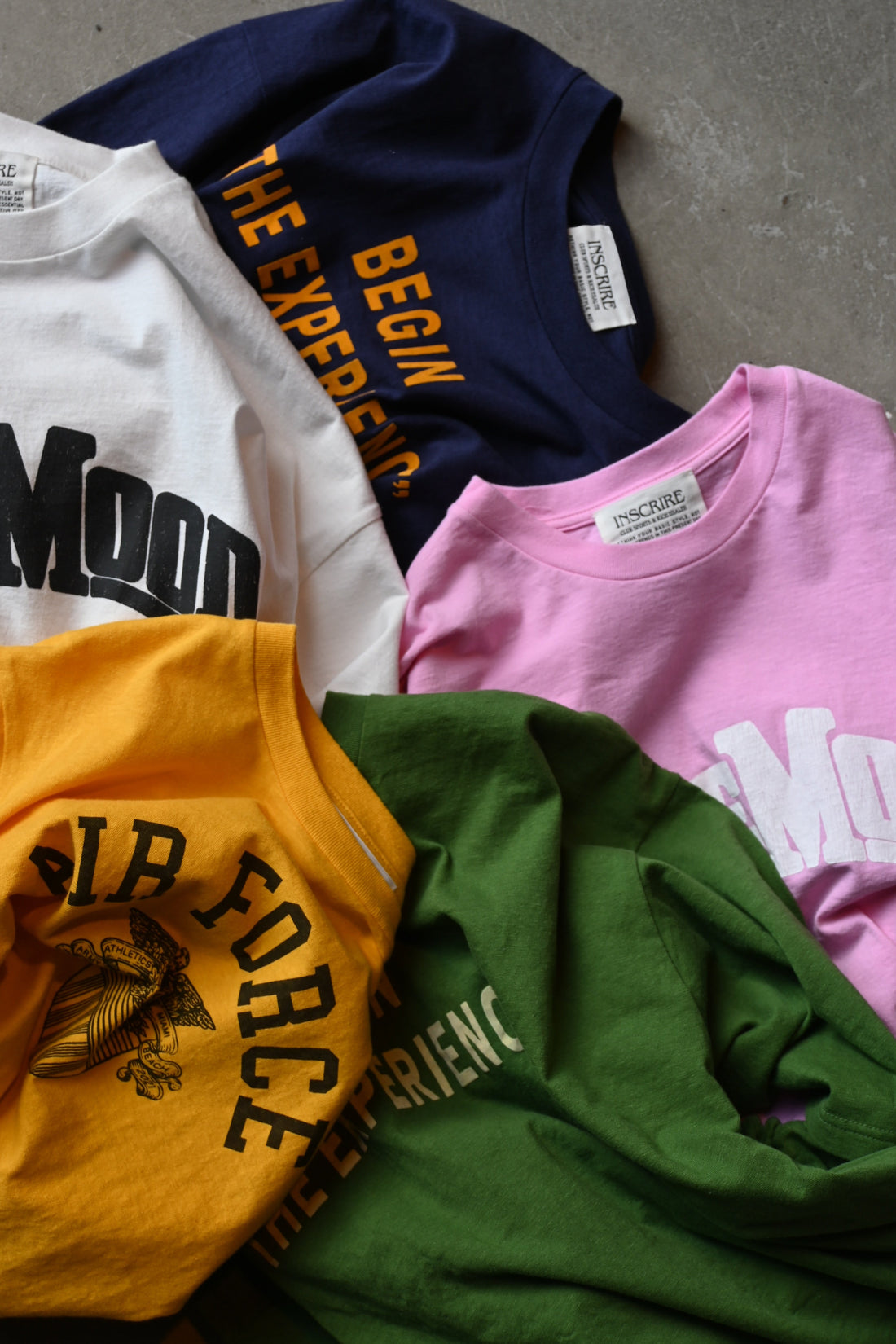INSCRIRE 入荷