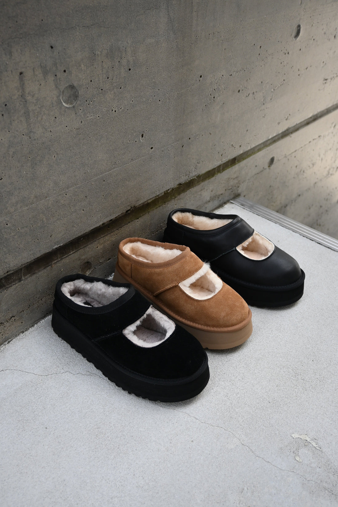 UGG 入荷