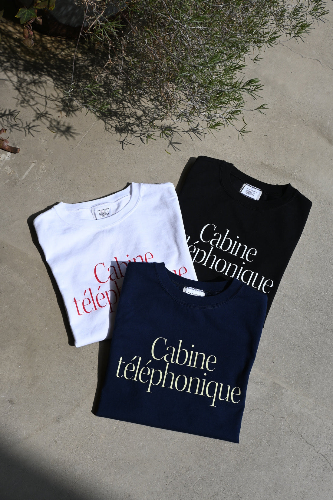 THE SHINZONE 入荷