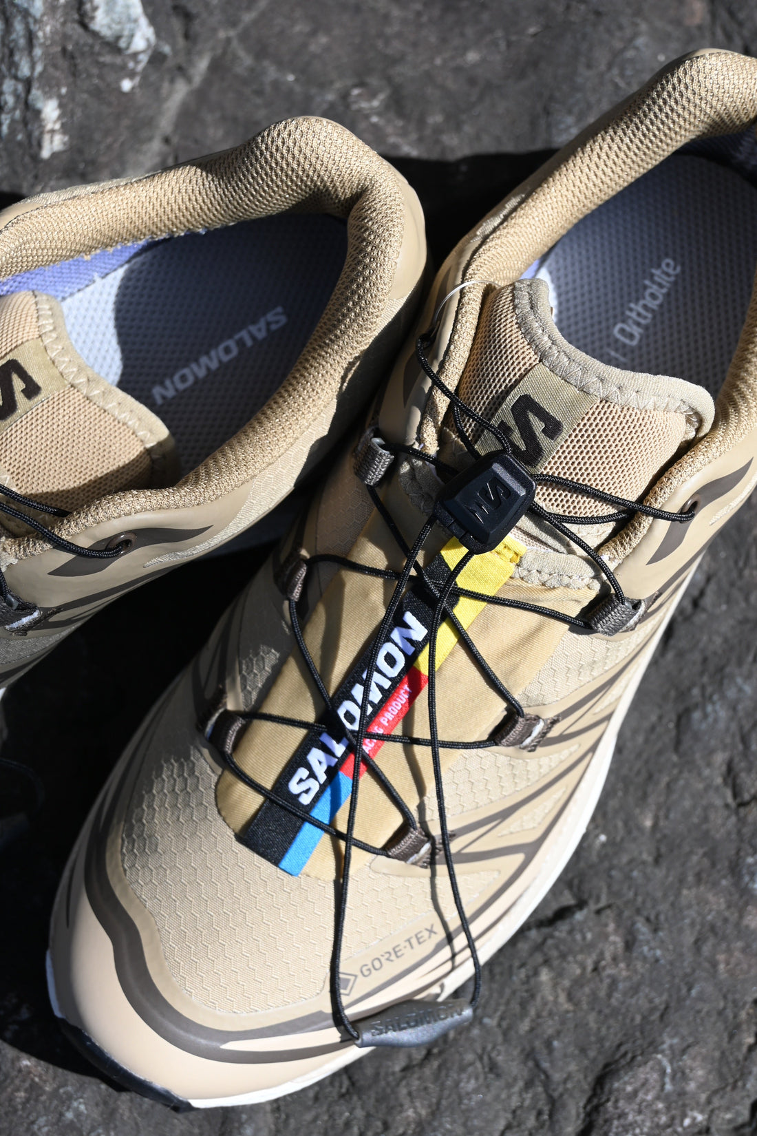 SALOMON 入荷