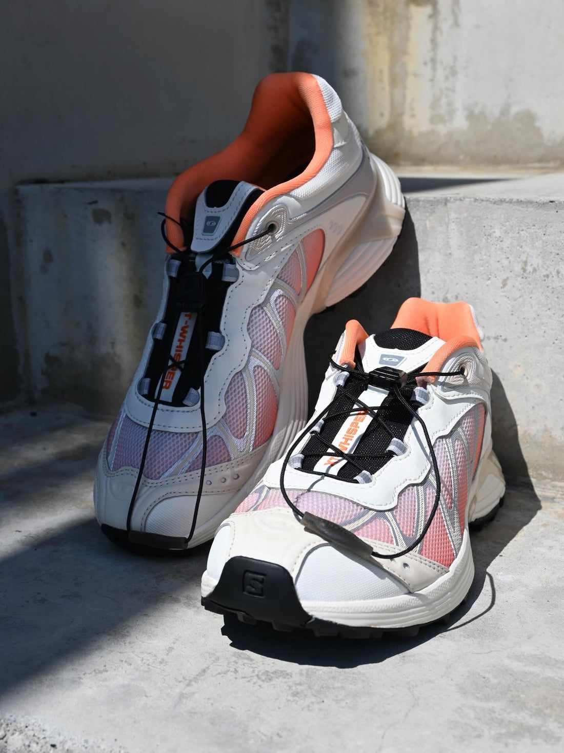SALOMON 入荷