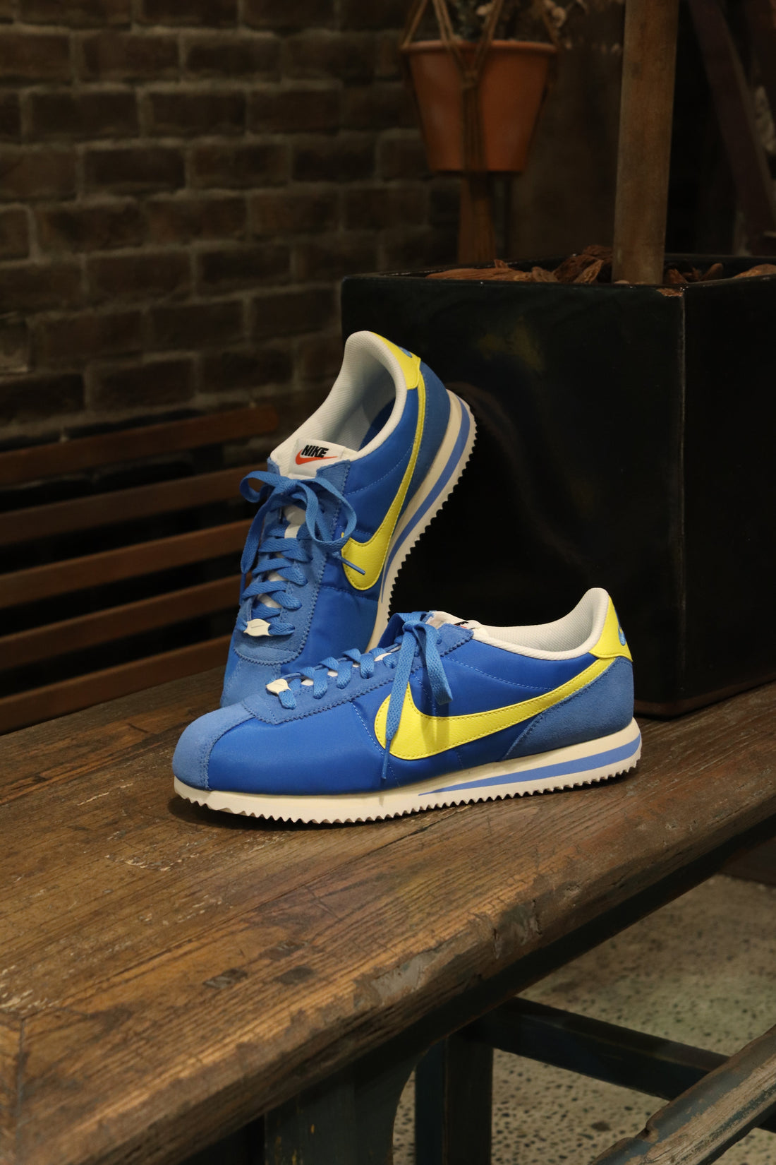 NIKE 新作入荷