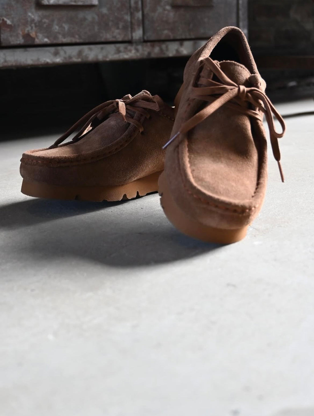Clarks 入荷