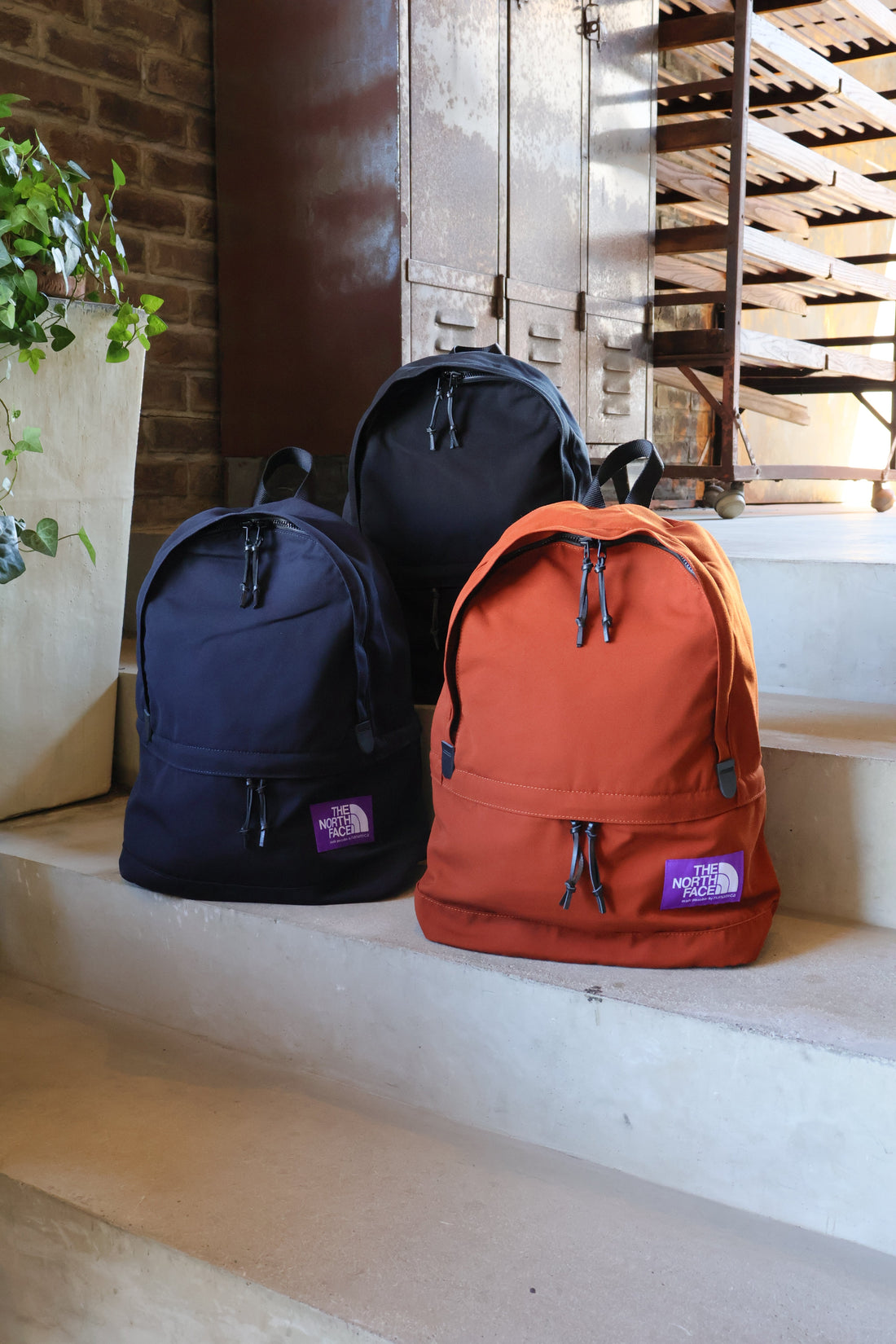 THE NORTH FACE PURPLE LABEL 新作入荷