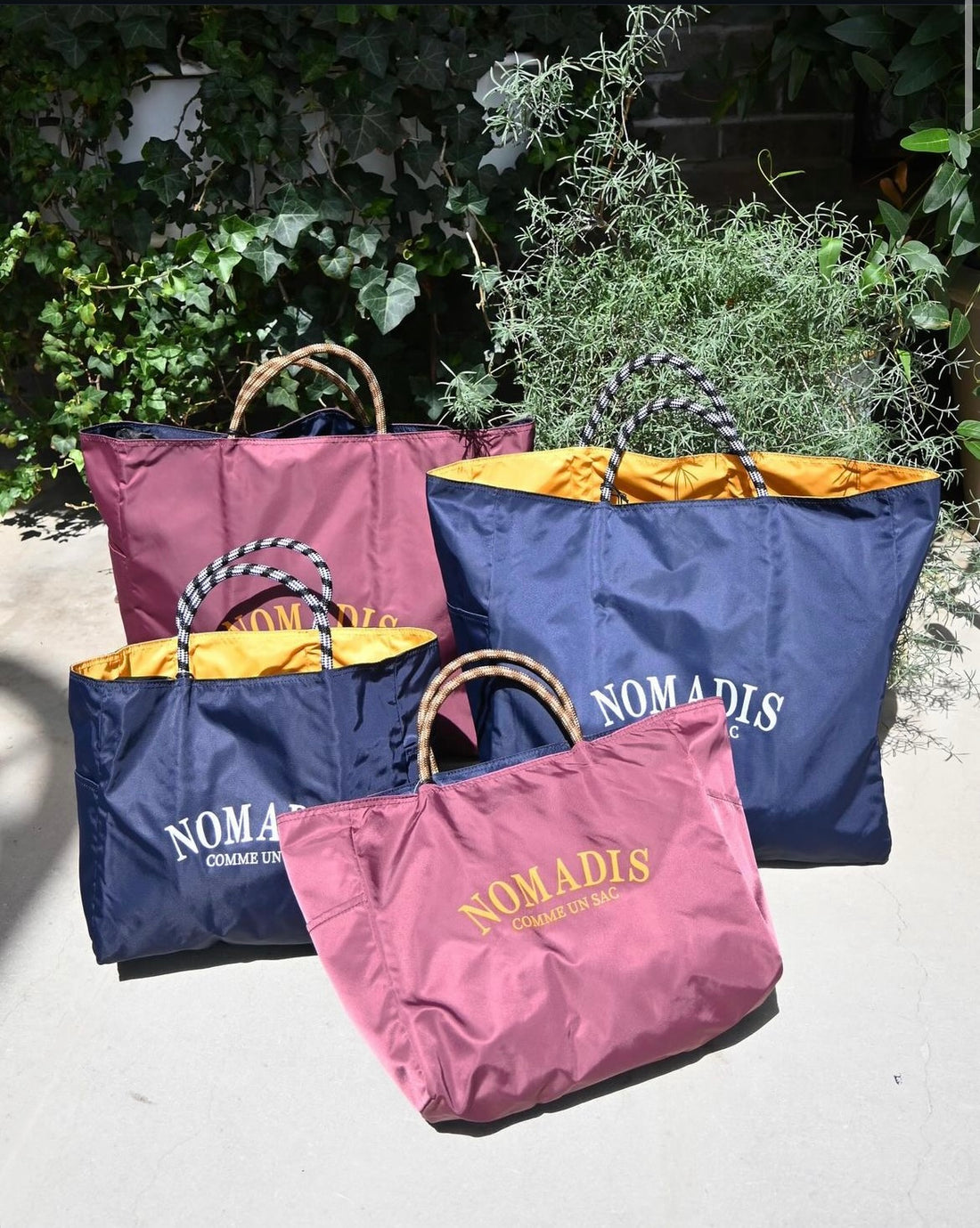 NOMADIS 入荷