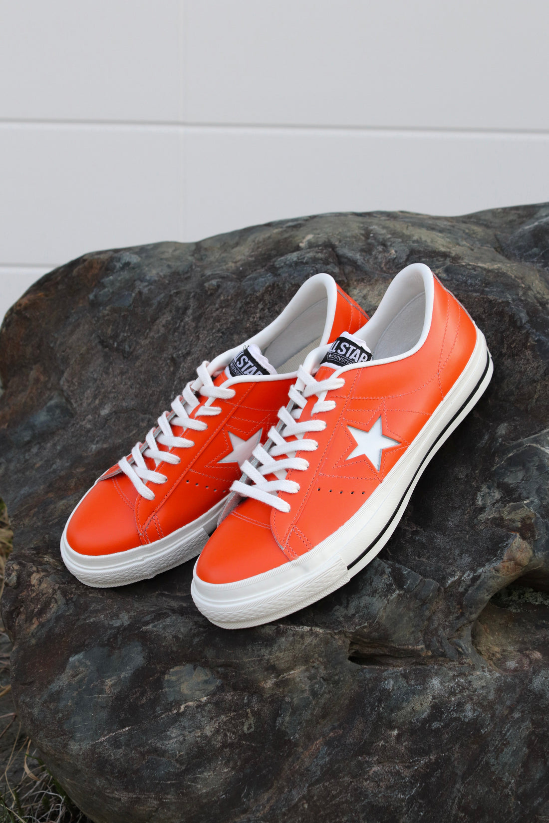 CONVERSE 新作入荷