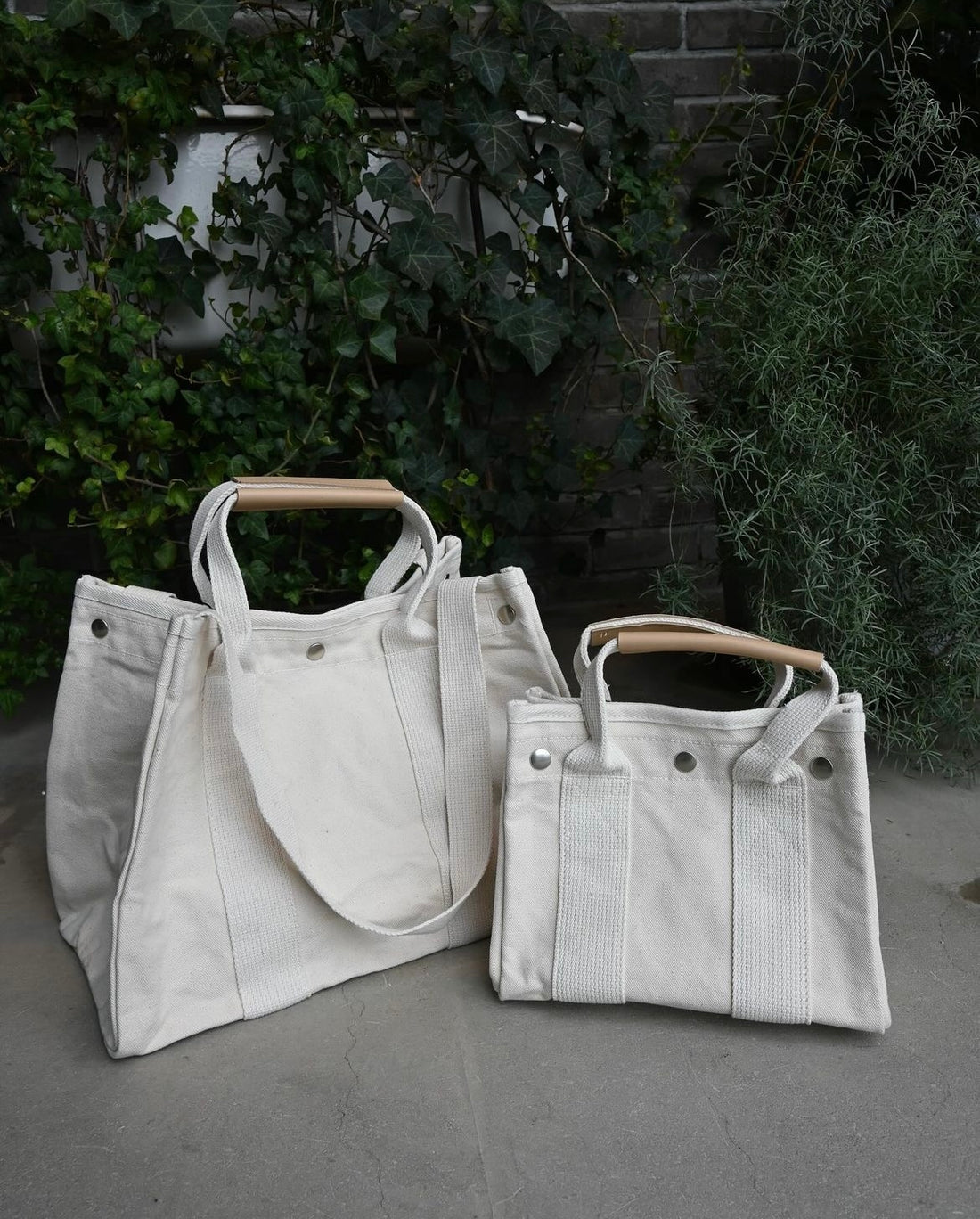 THE SHINZONE 入荷