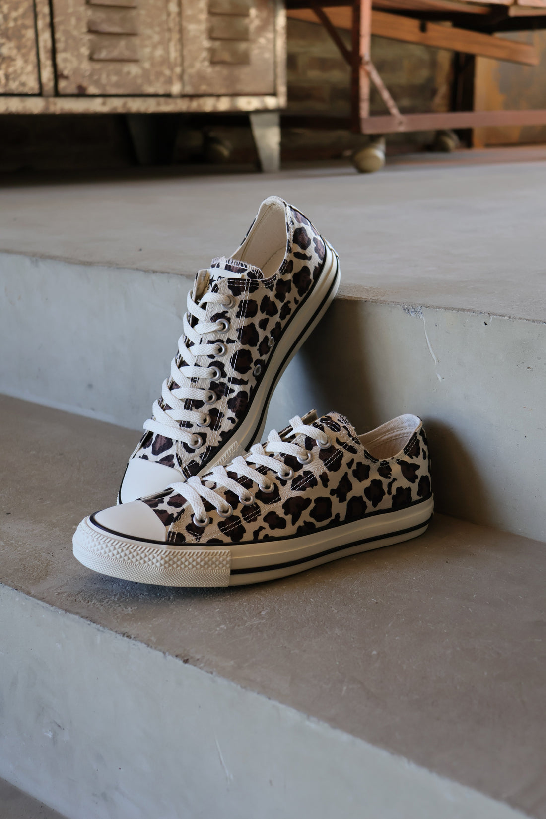 CONVERSE 新作入荷