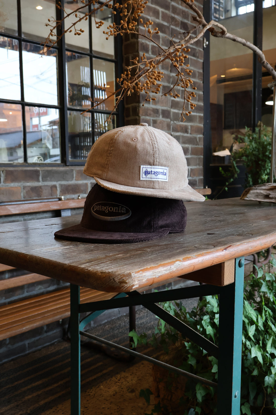 patagonia 新作入荷