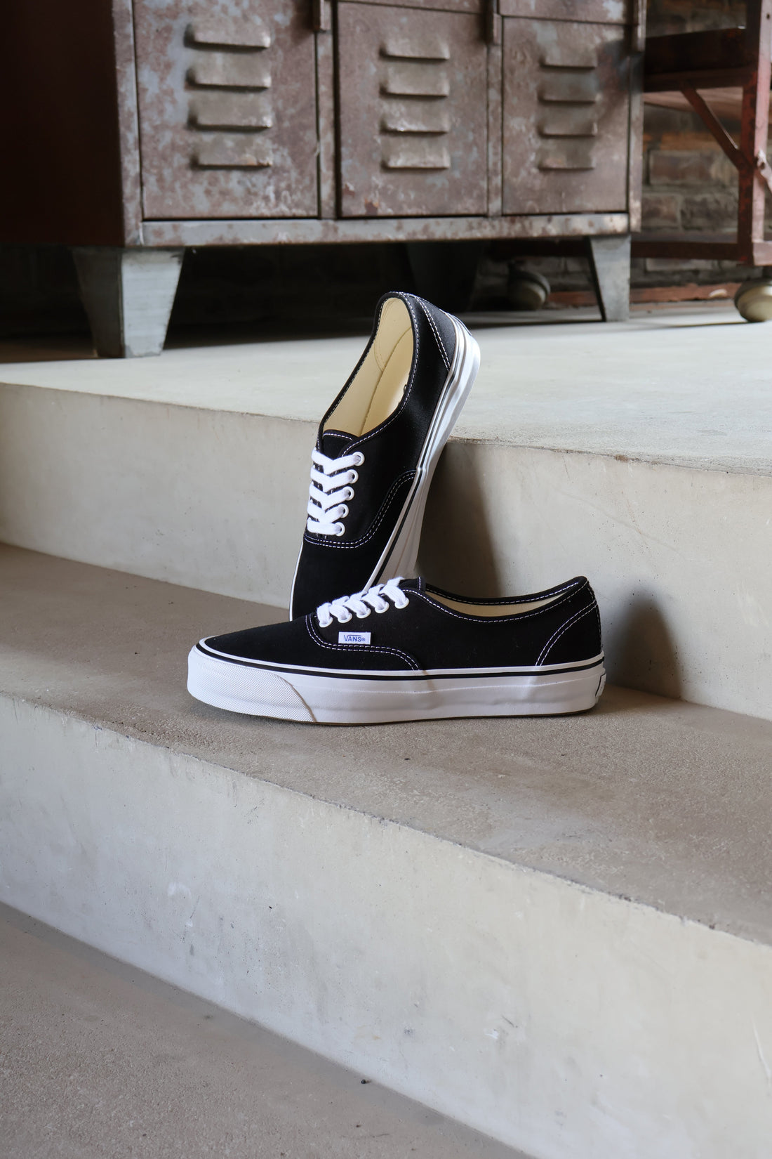VANS 新作入荷　3/14 (Fri) ~ START