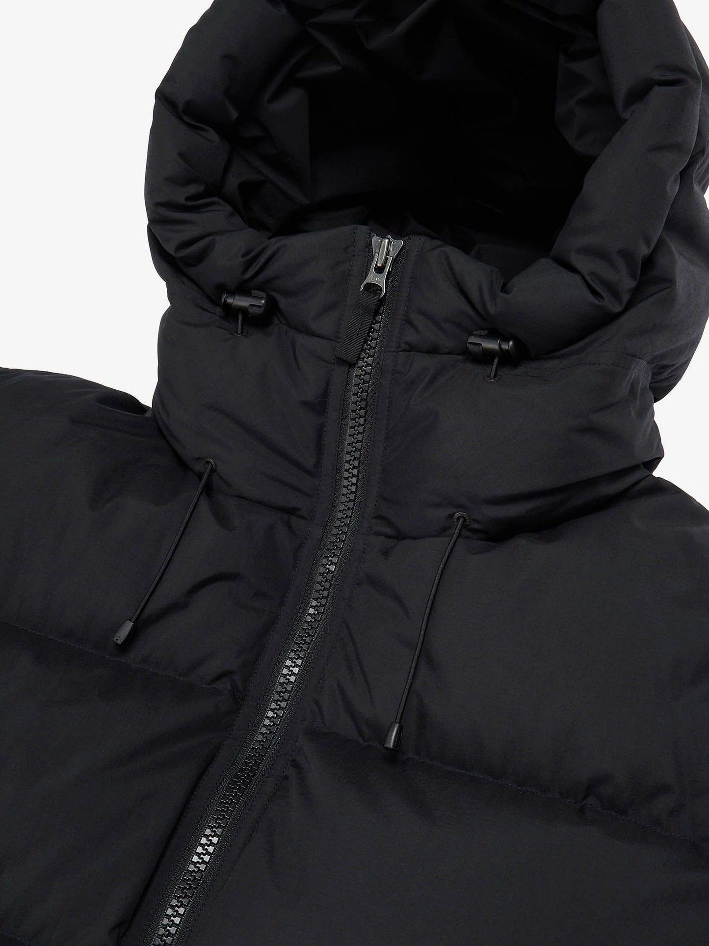 Alteration Down Shell Parka