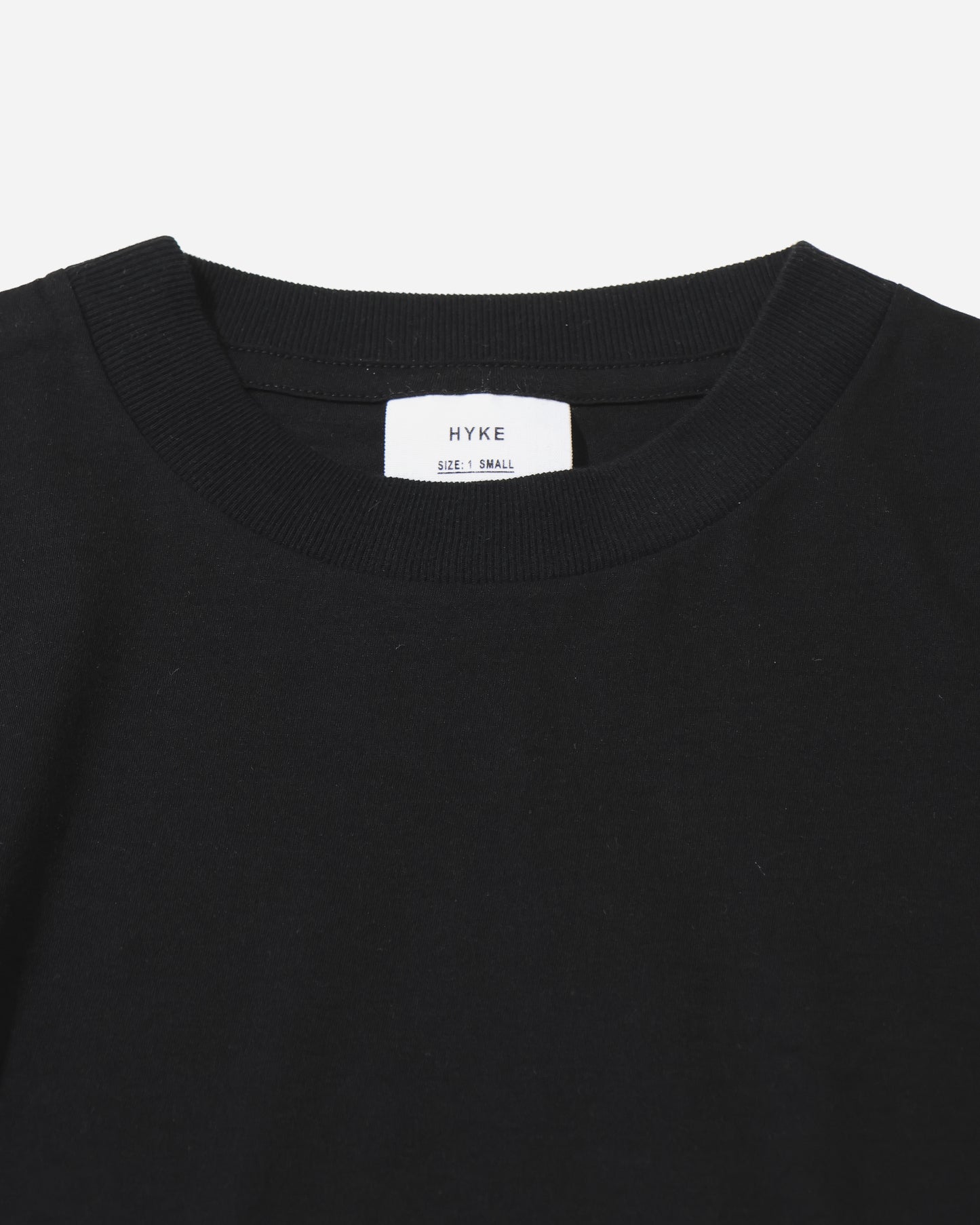 SHEER LONG-SLV TEE 12434