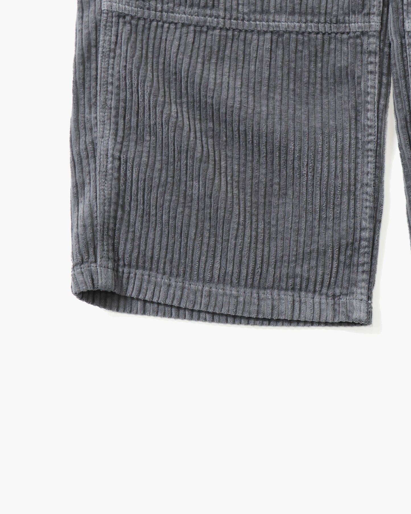 BIG WALE CARPENTER PANT