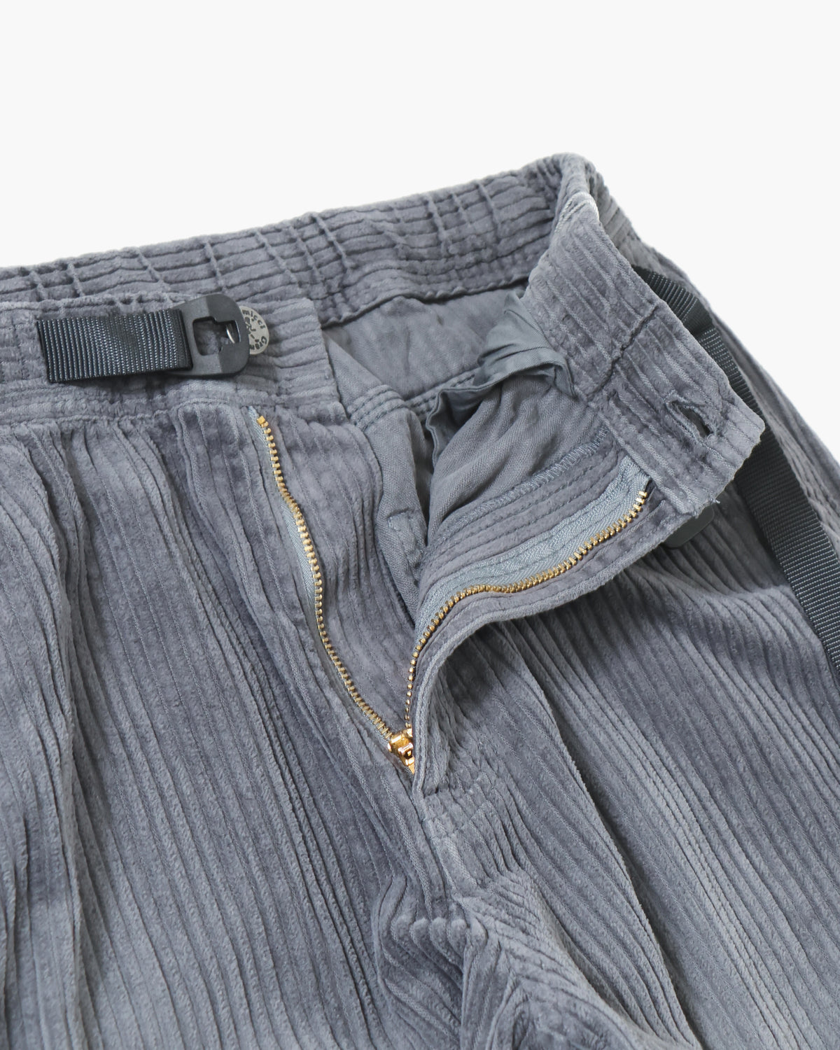 BIG WALE CARPENTER PANT