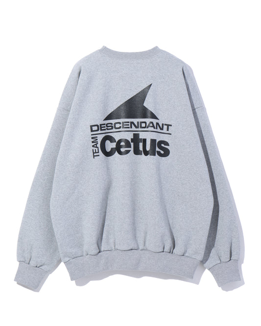 STERN CREW NECK  GRAY