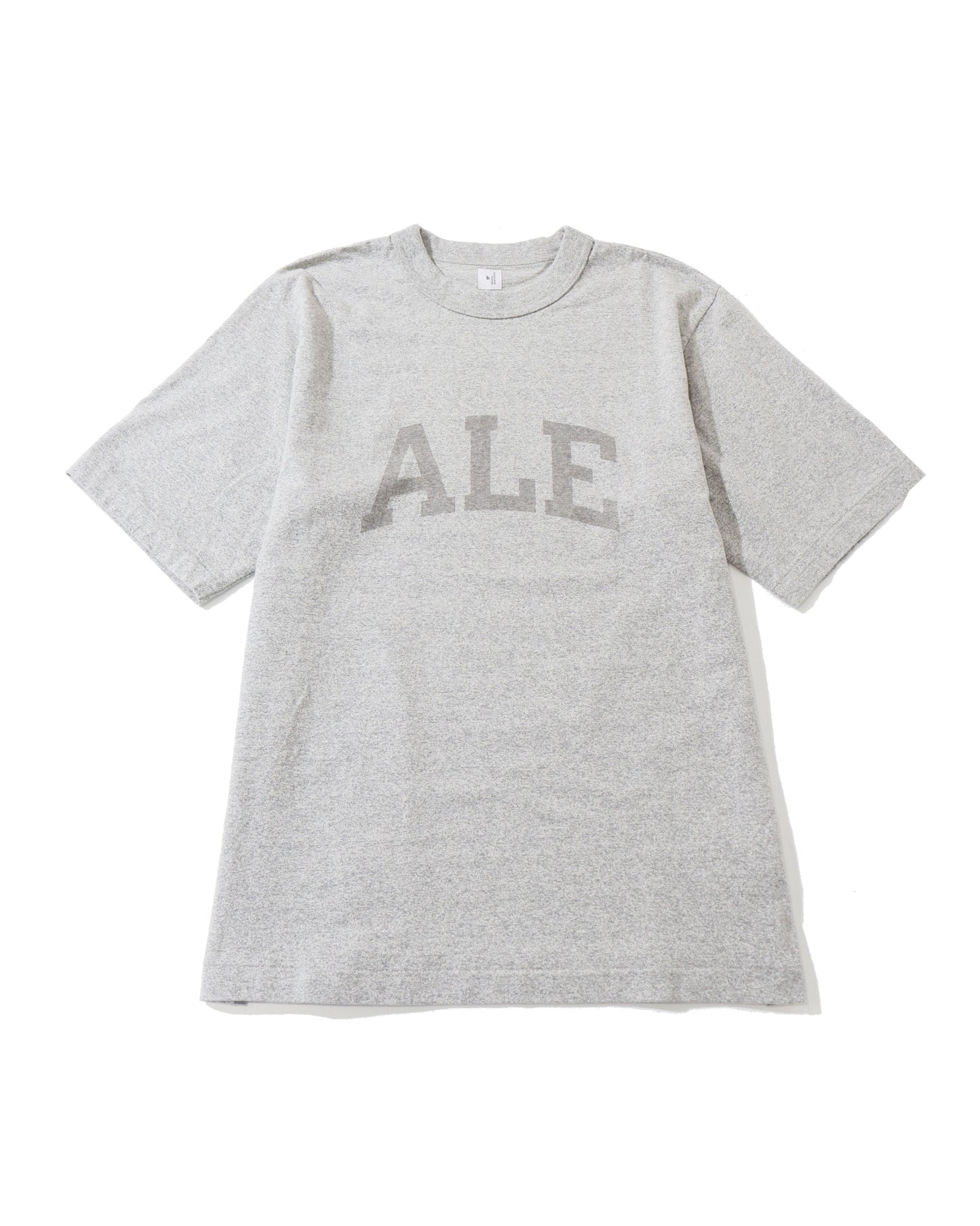 ALE-Y 88/12 Print Tee STANDARD HeatherGrey×Fade/Grey-PT