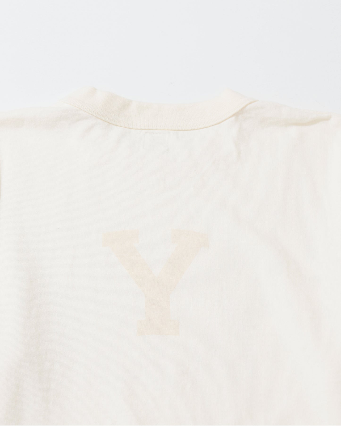 ALE-Y 88/12 Print Tee STANDARD Ivory×Fade/Bage-PT