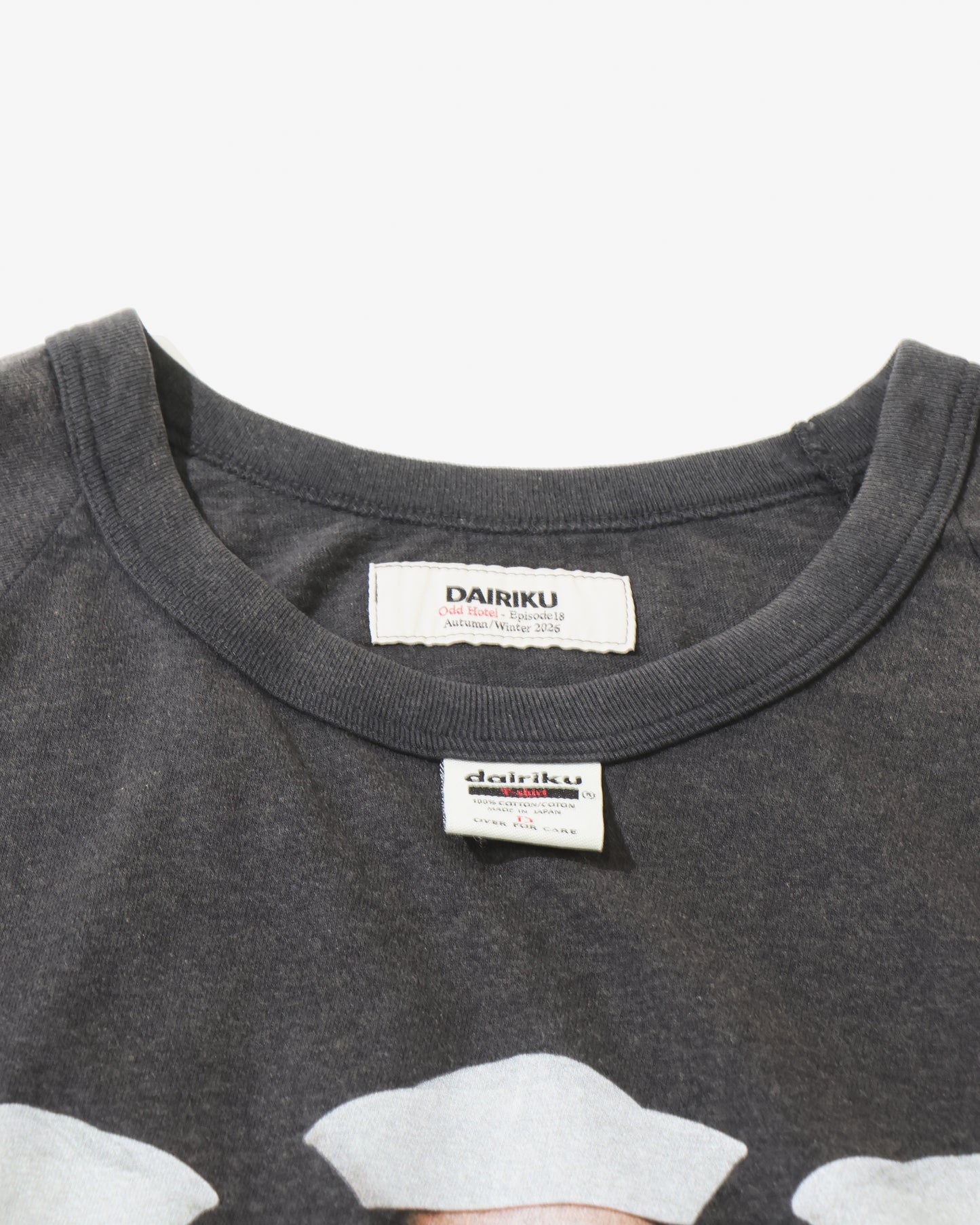"The Winter Seagulls" Tour Raglan Tee