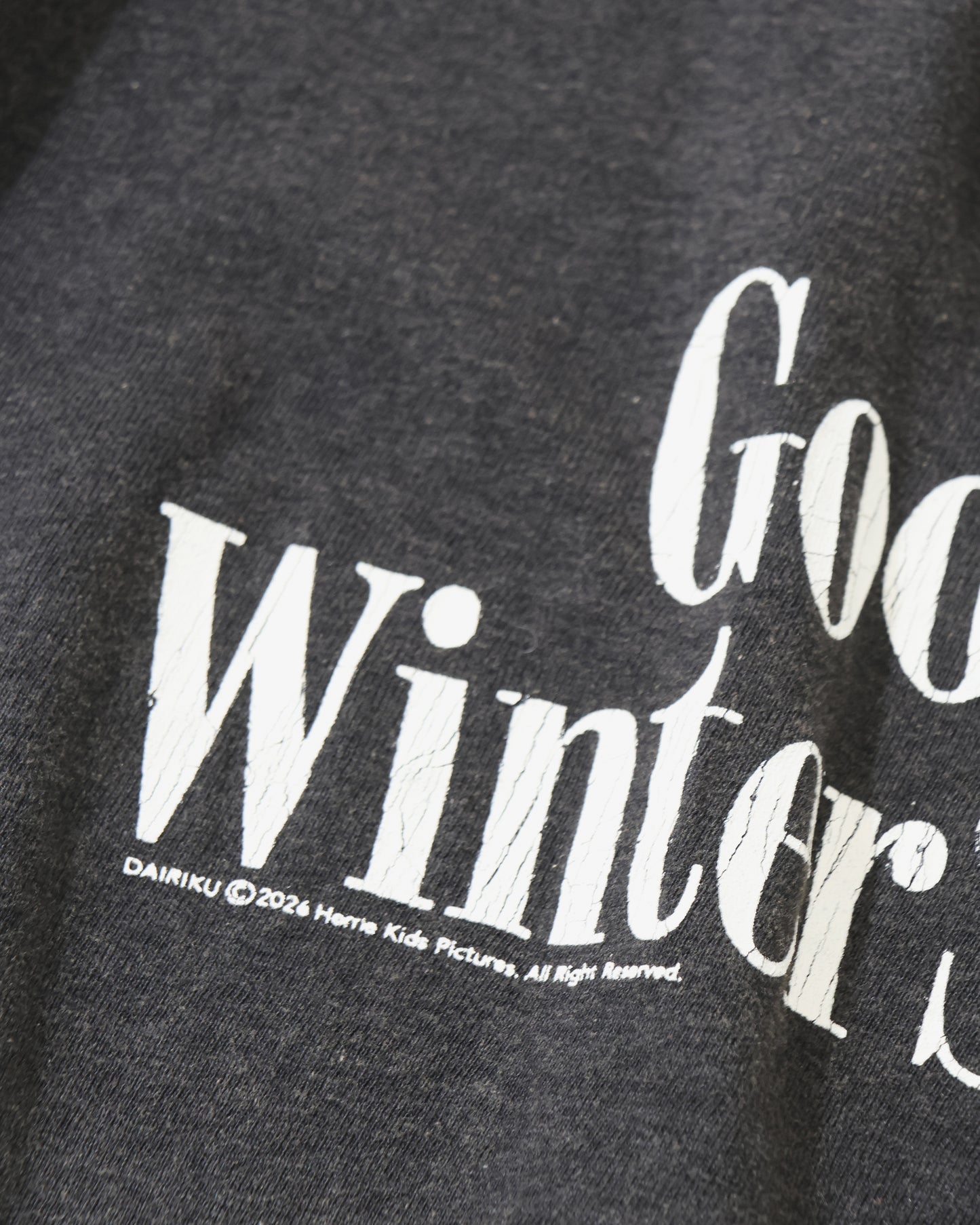 "The Winter Seagulls" Tour Raglan Tee