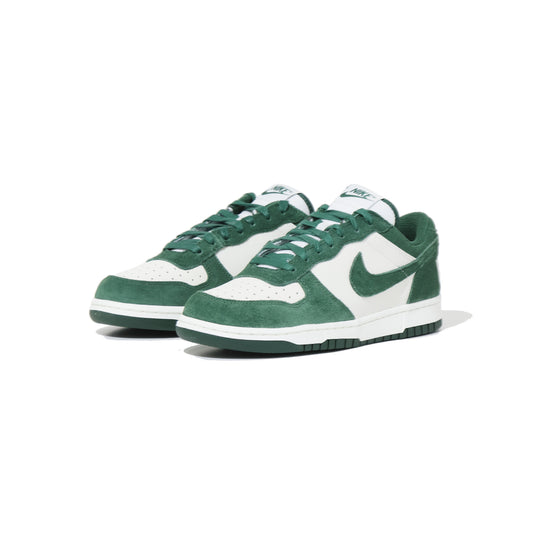 BIG NIKE LOW LUX