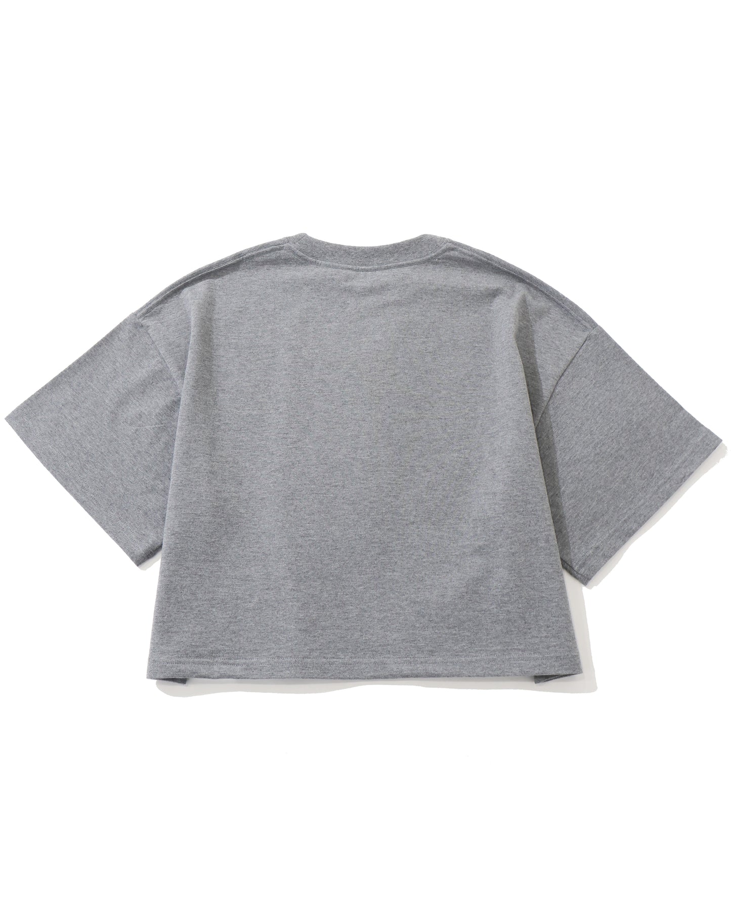 CROPPED SHORT-SLV TEE / BIG FIT(6.5OZ) 12438