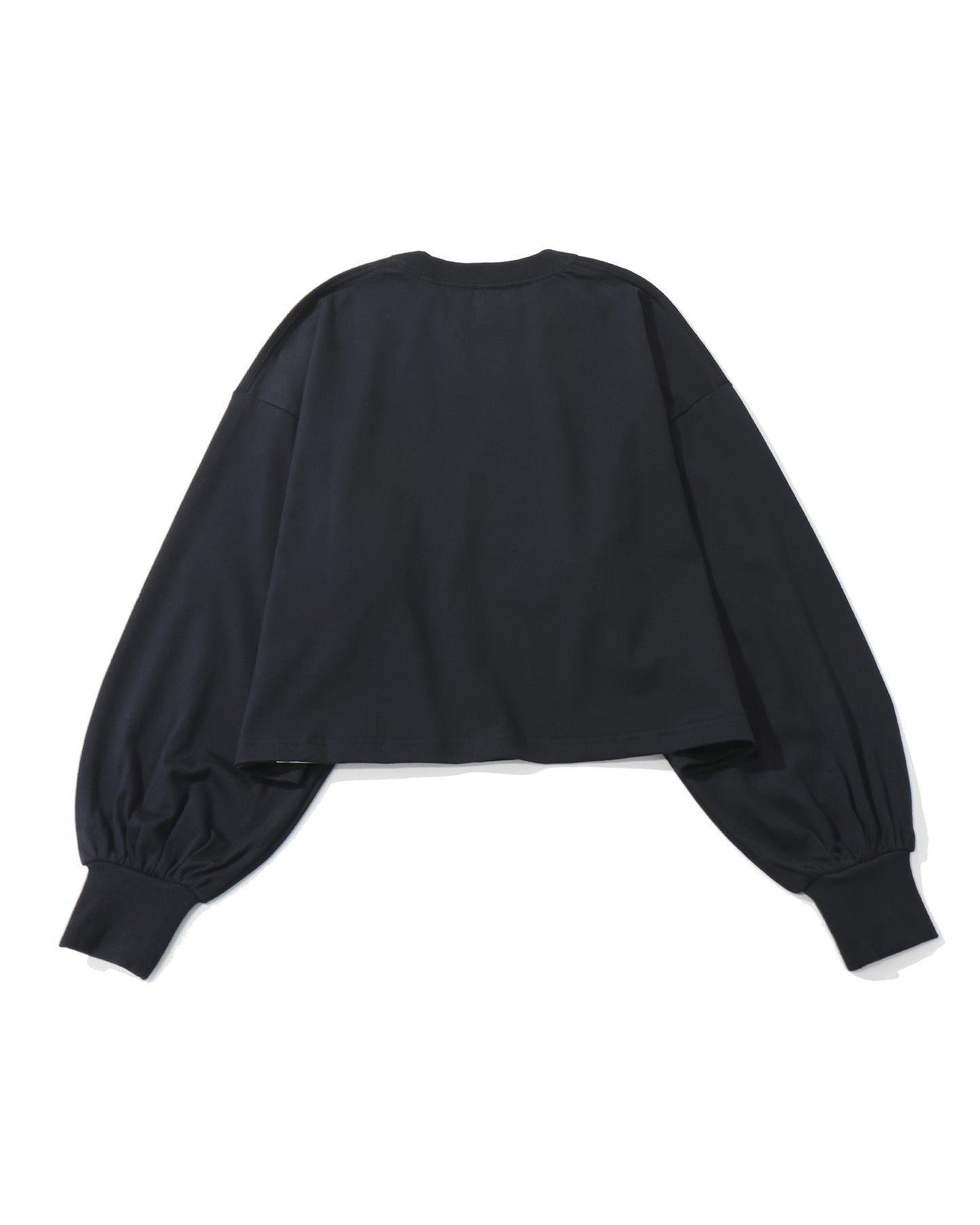 CROPPED LONG-SLV TEE / BIG FIT(6.5OZ) 12454